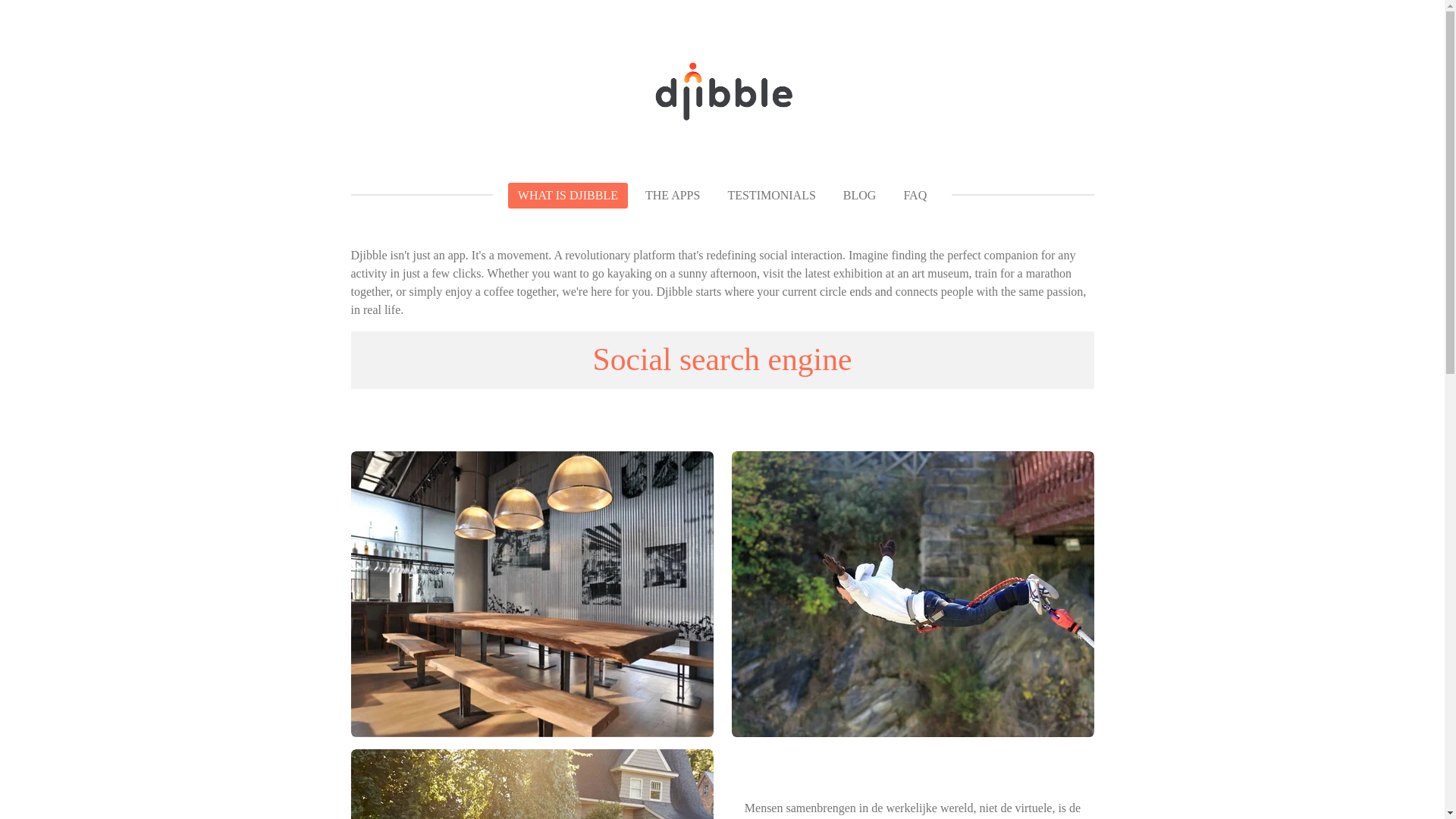 website screenshot of https://djibbletest.be/