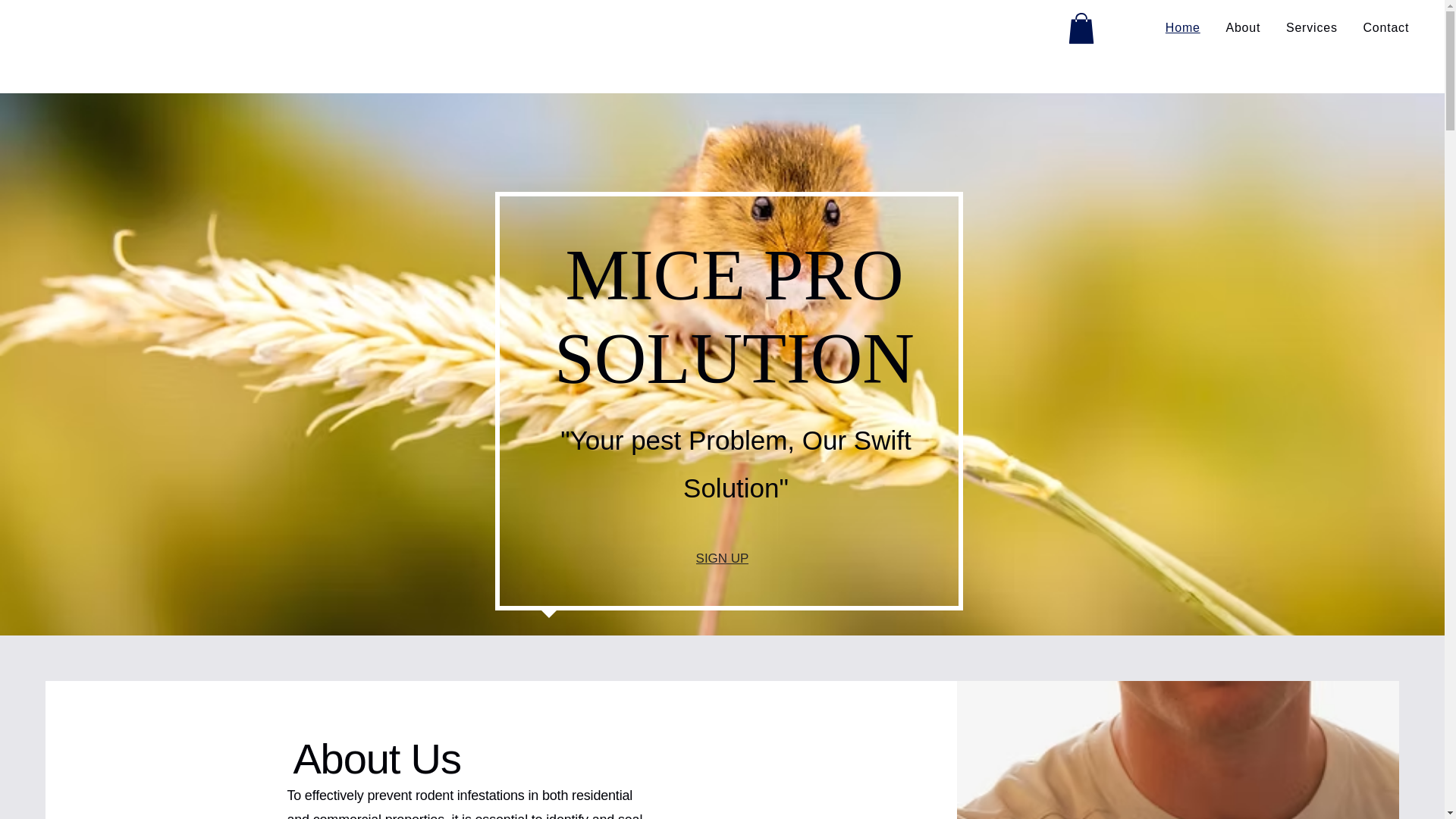 website screenshot of https://miceprosolution.net/