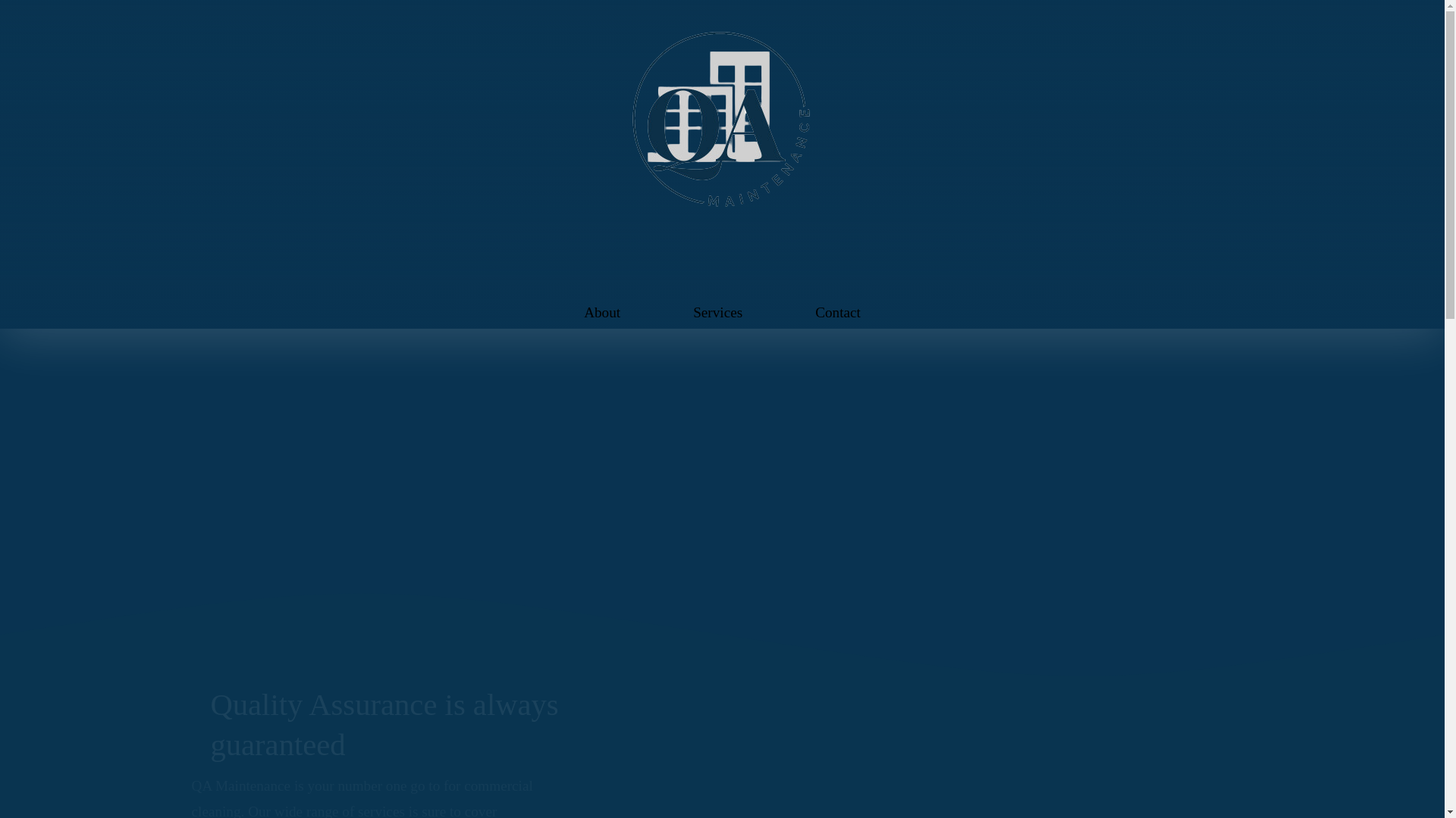 website screenshot of https://qamincorp.com/
