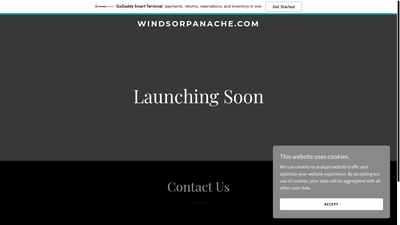 website screenshot of https://windsorpanache.com/