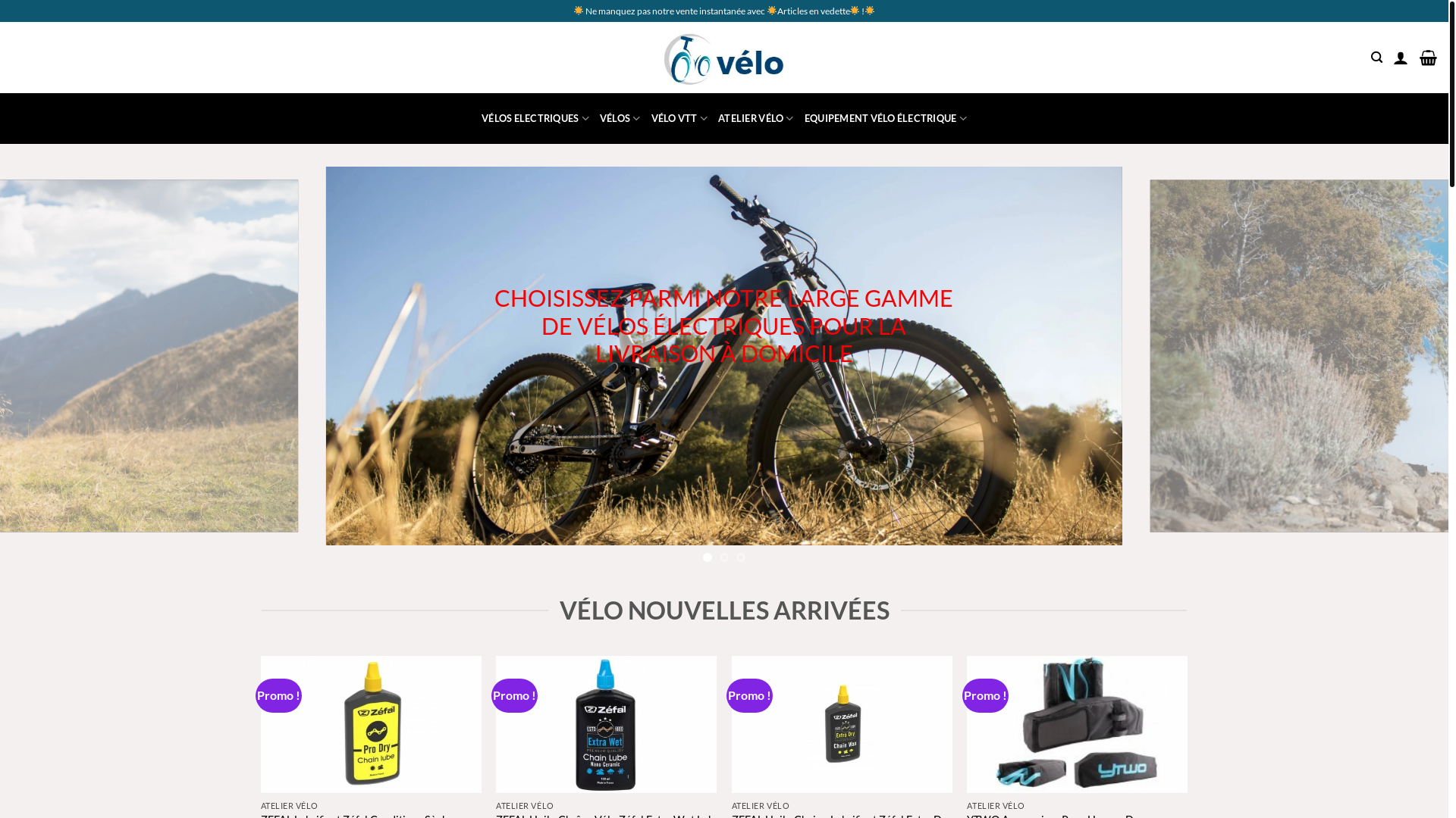 website screenshot of http://velosoldes-enfr.com/