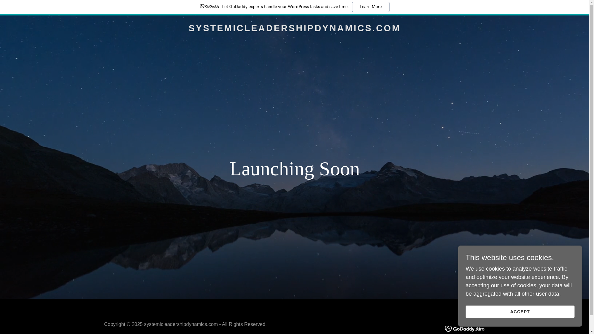 website screenshot of https://systemicleadershipdynamics.com/