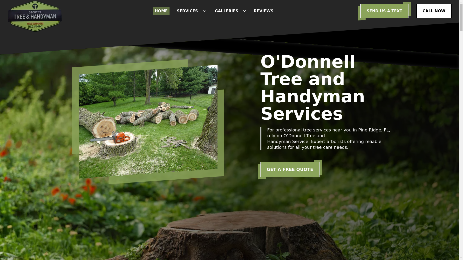 website screenshot of https://odonnelltreeandhandyman.com/