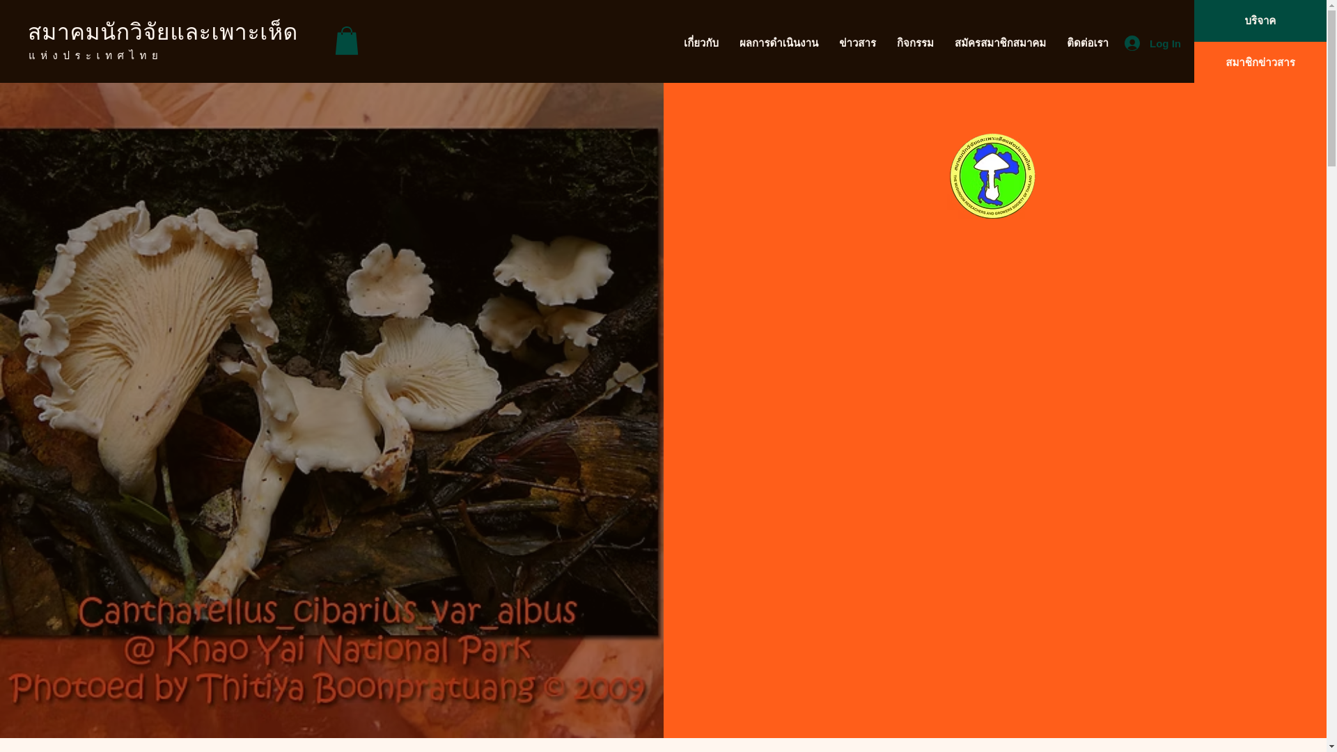 website screenshot of https://thaimushroomsoc.org/