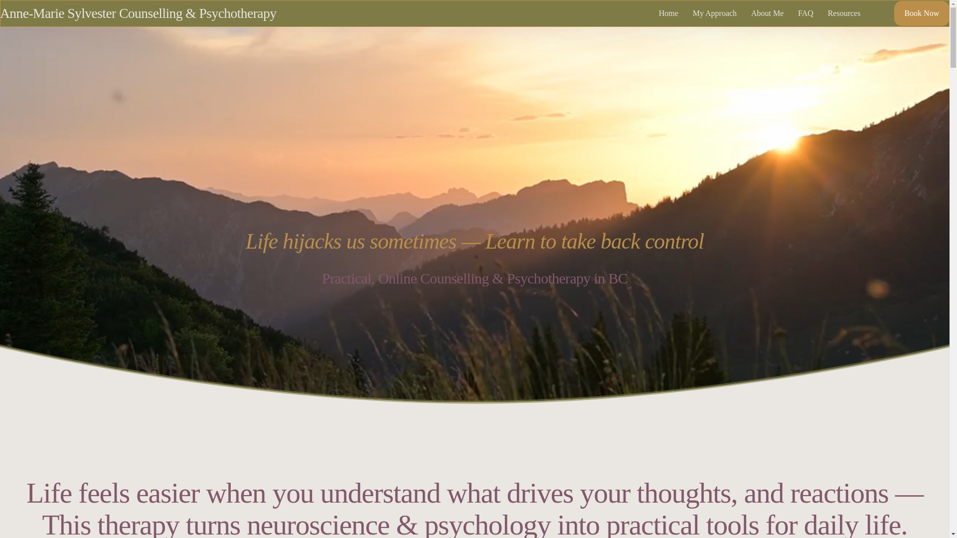 website screenshot of https://annemariesylvestercounselling.com/