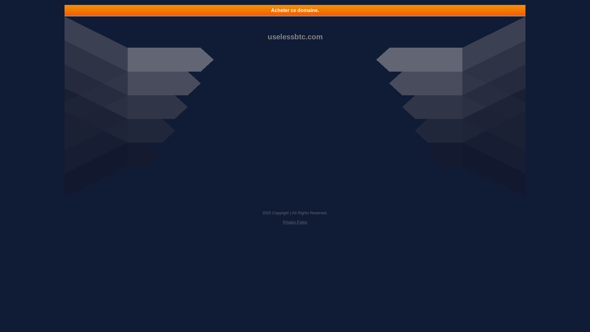 website screenshot of https://uselessbtc.com/
