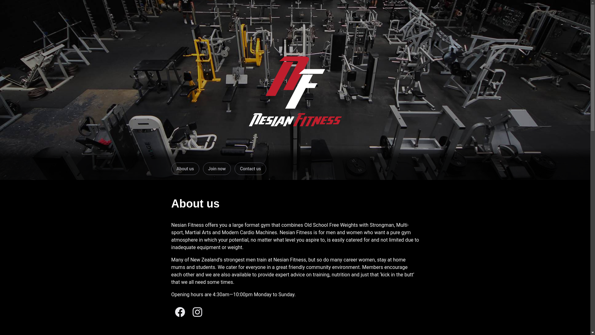 website screenshot of https://nesian-fitness.pages.dev/