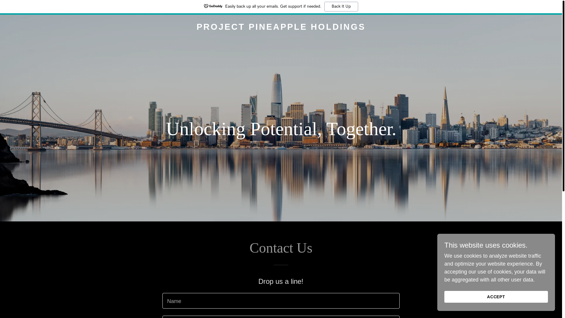 website screenshot of https://projectpineappleholdings.com/