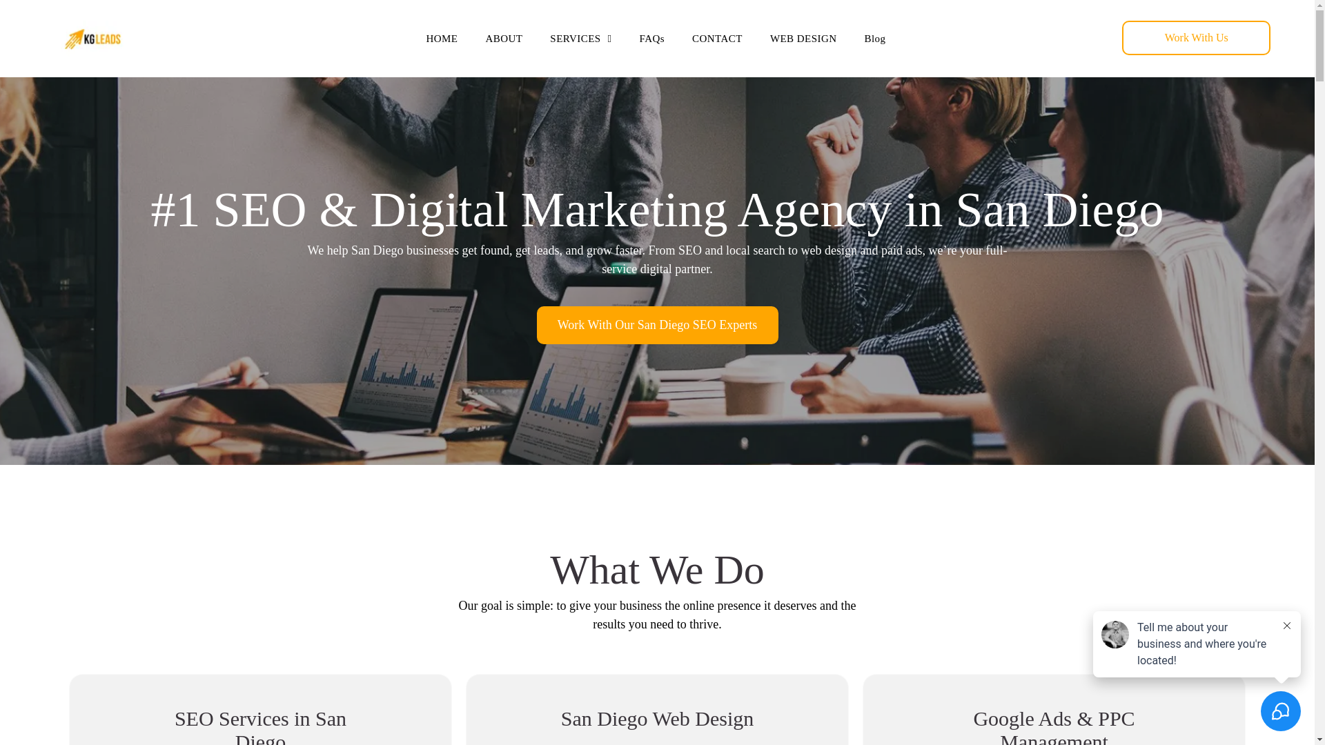 website screenshot of https://scalemykgleads.com/