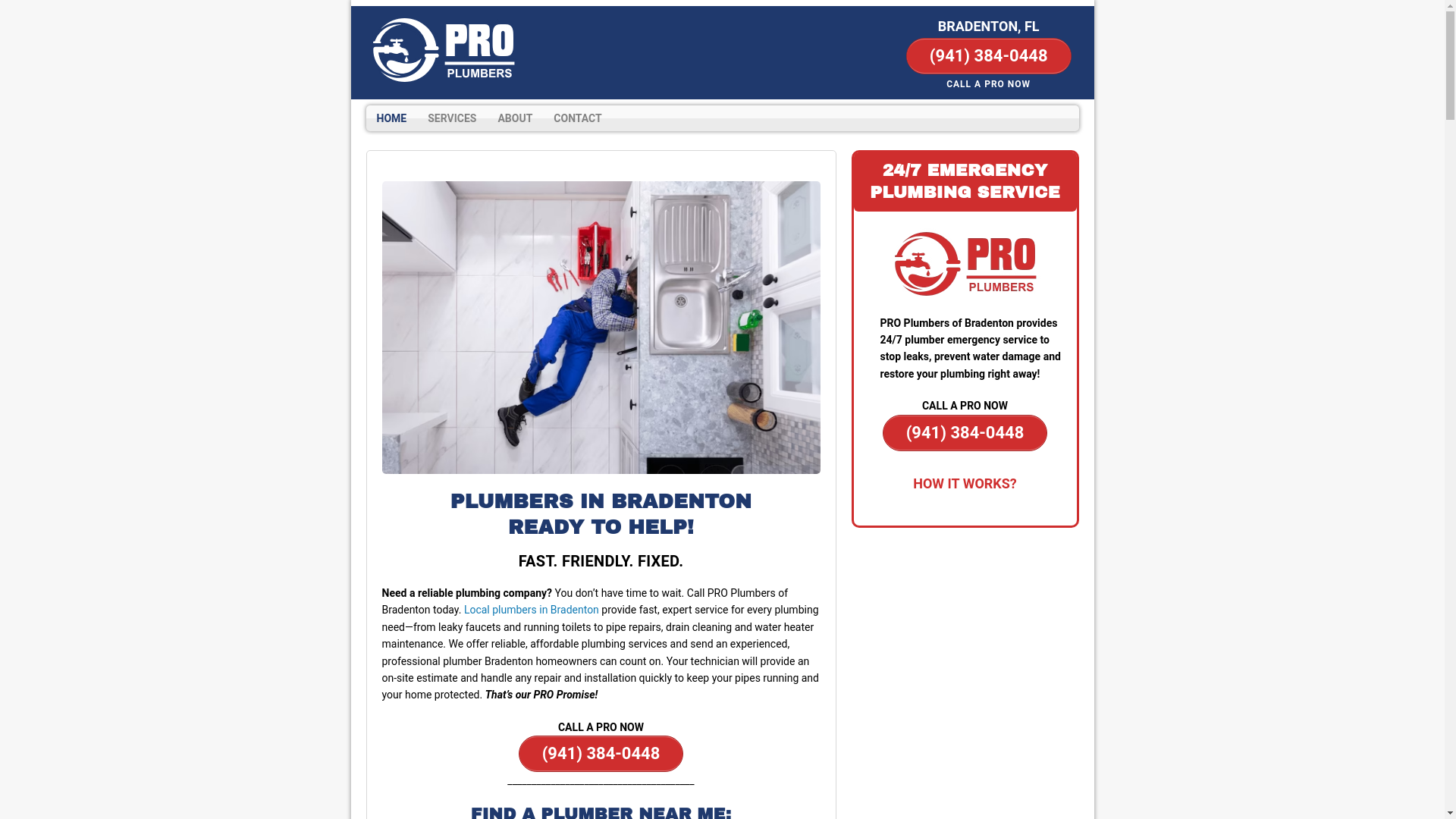 website screenshot of https://proplumberbradenton.com/