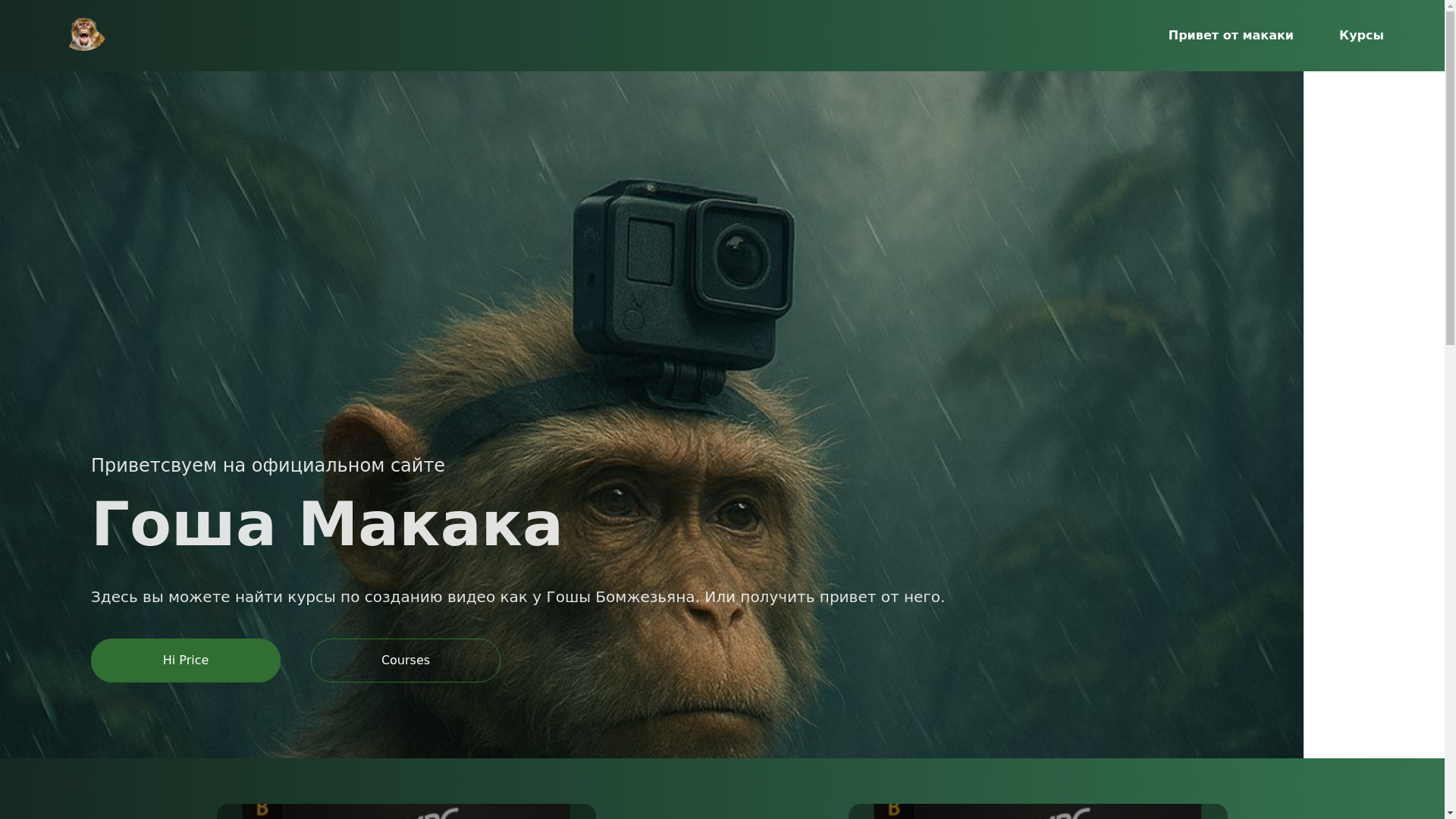 website screenshot of https://goshathemonkey.store/
