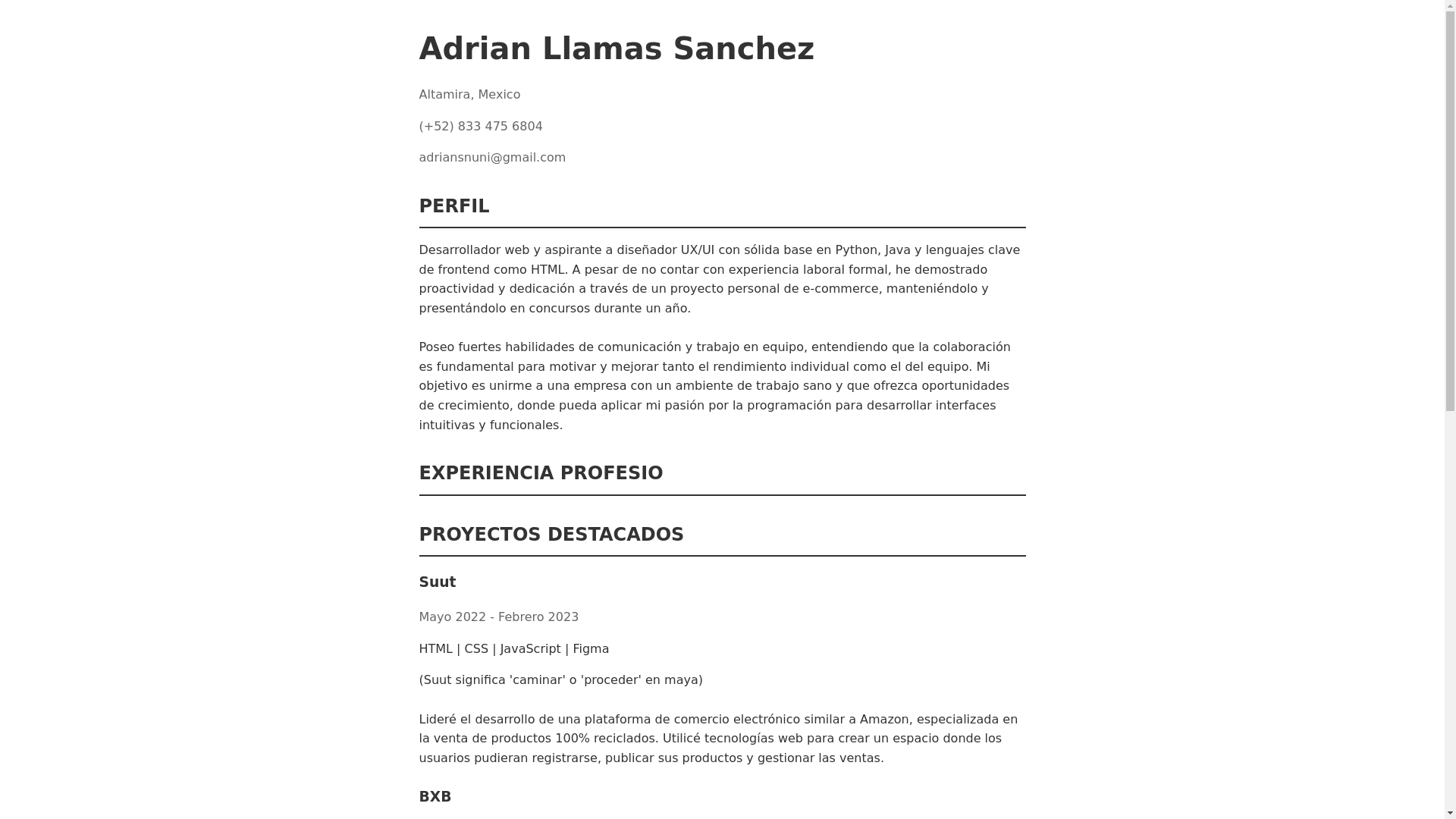 website screenshot of https://adrnsnchz.site/