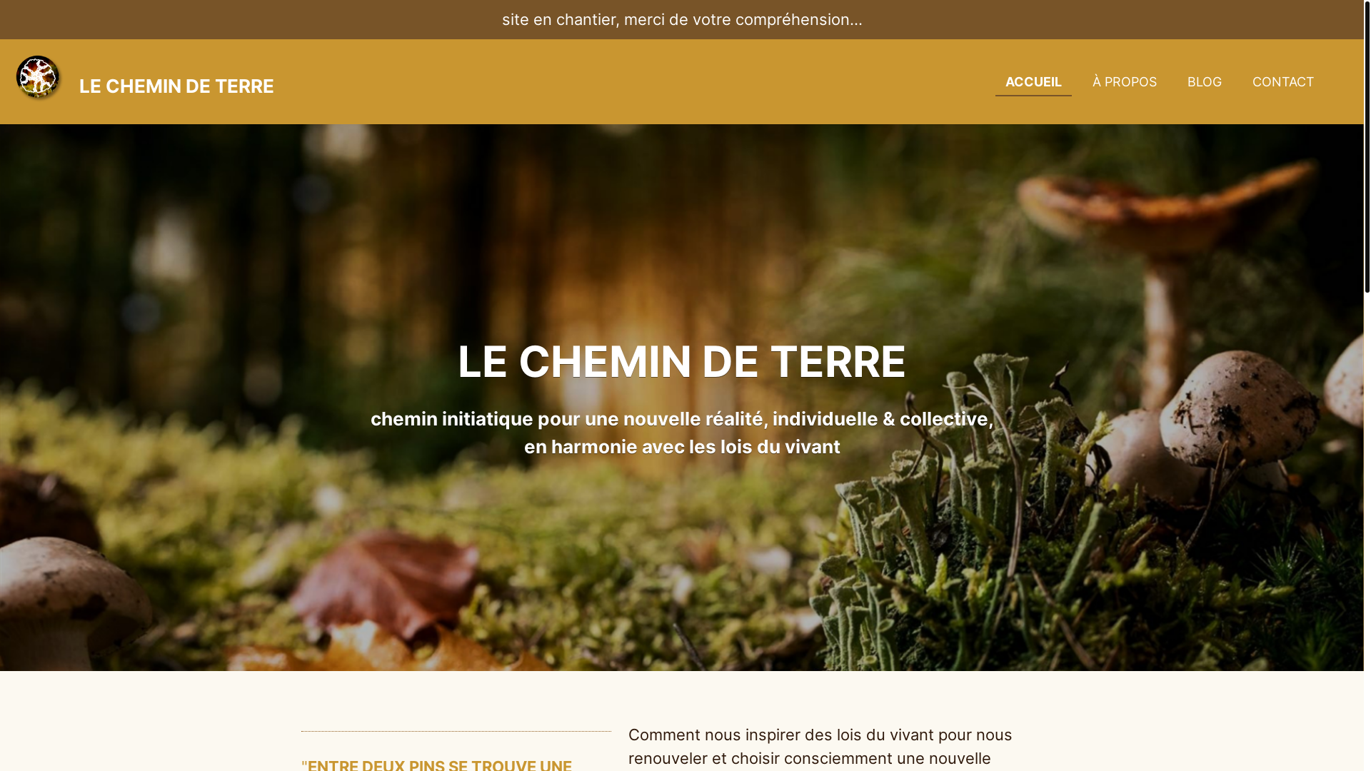 website screenshot of https://lechemindeterre.com/