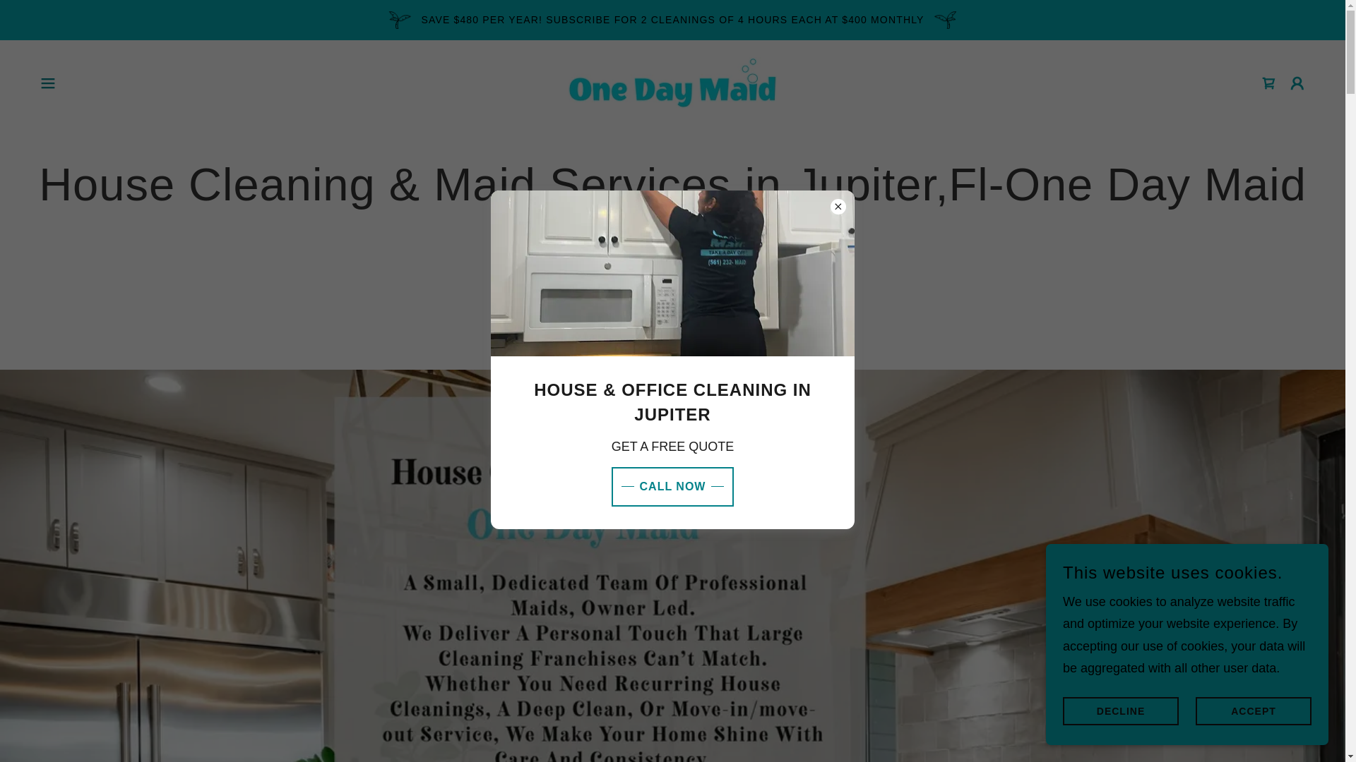 website screenshot of https://oneday-cleans.com/