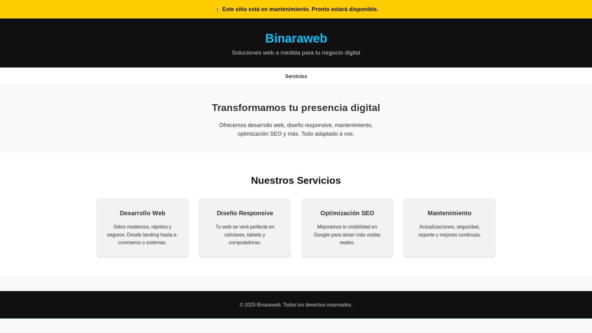 website screenshot of https://binaraweb.com.ar/