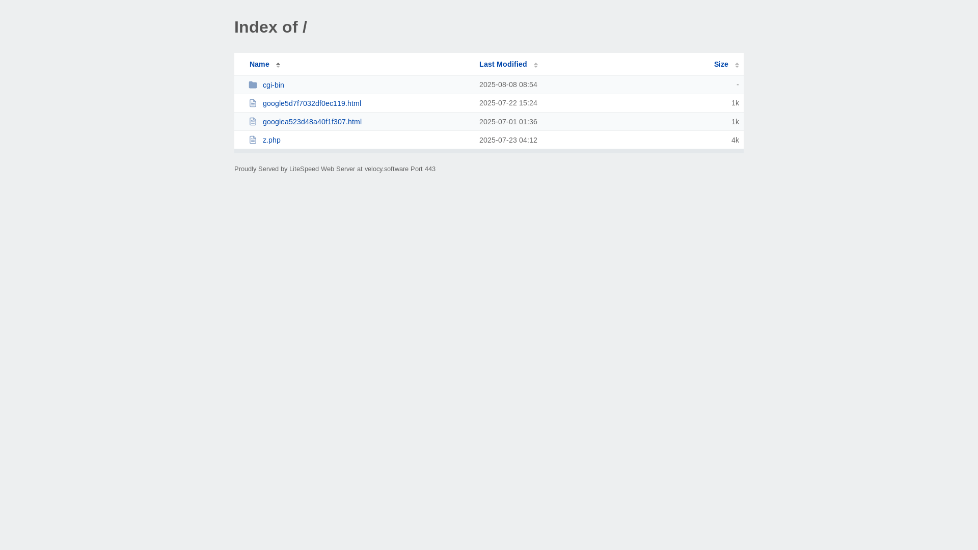 website screenshot of https://velocy.software/