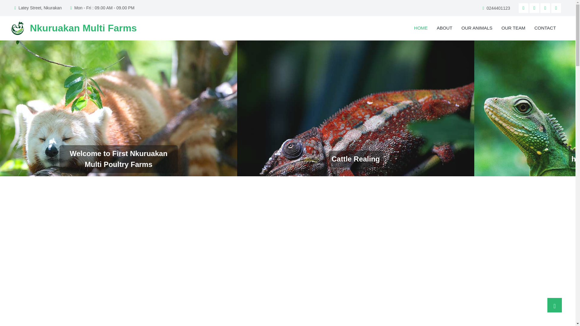 website screenshot of https://nkurakanmuiltifarms.com/