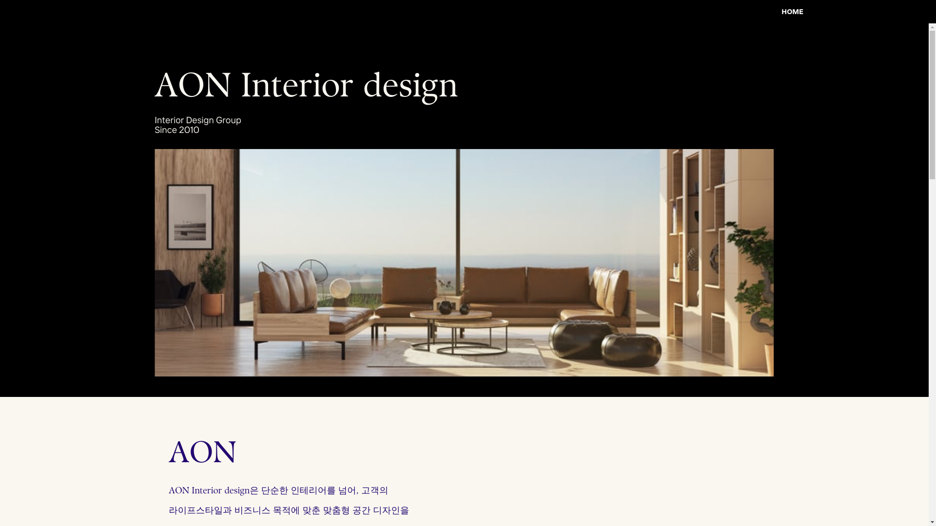 website screenshot of https://aonint.com/