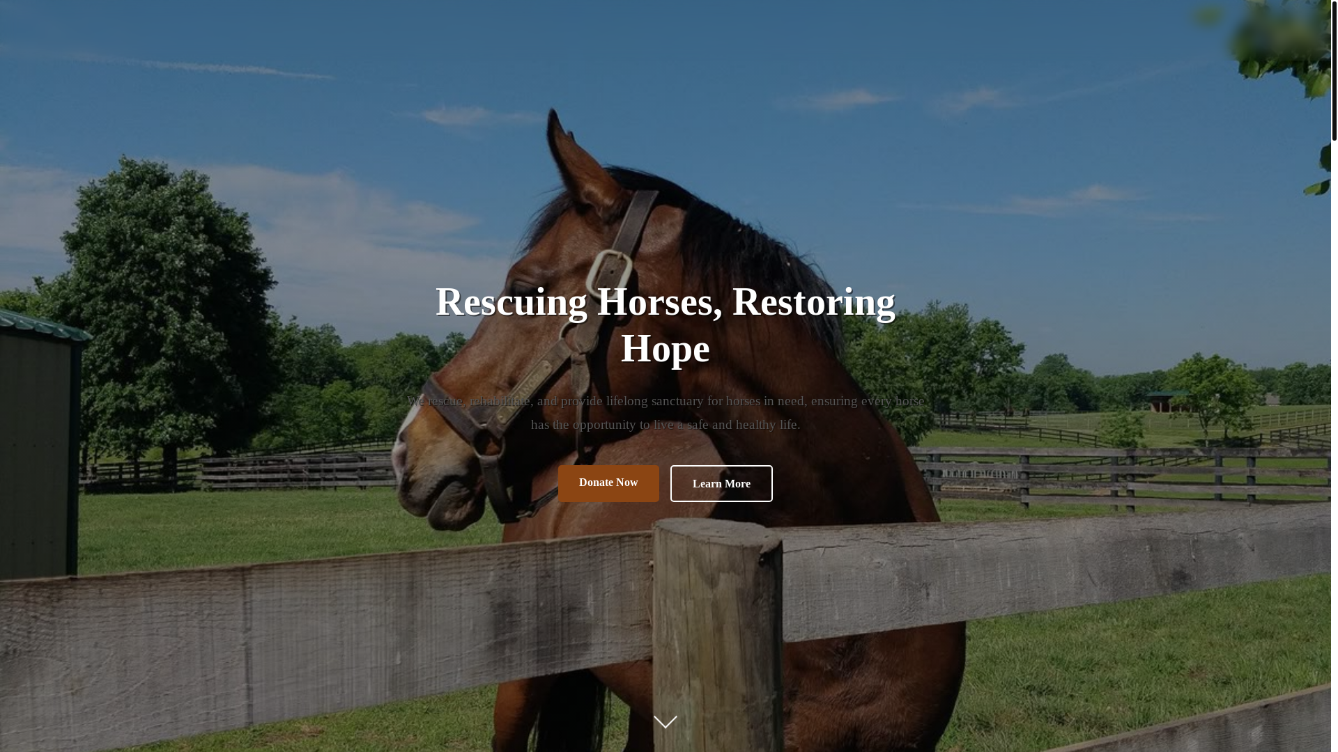 website screenshot of https://pegasuslifesaversforhorses.org/