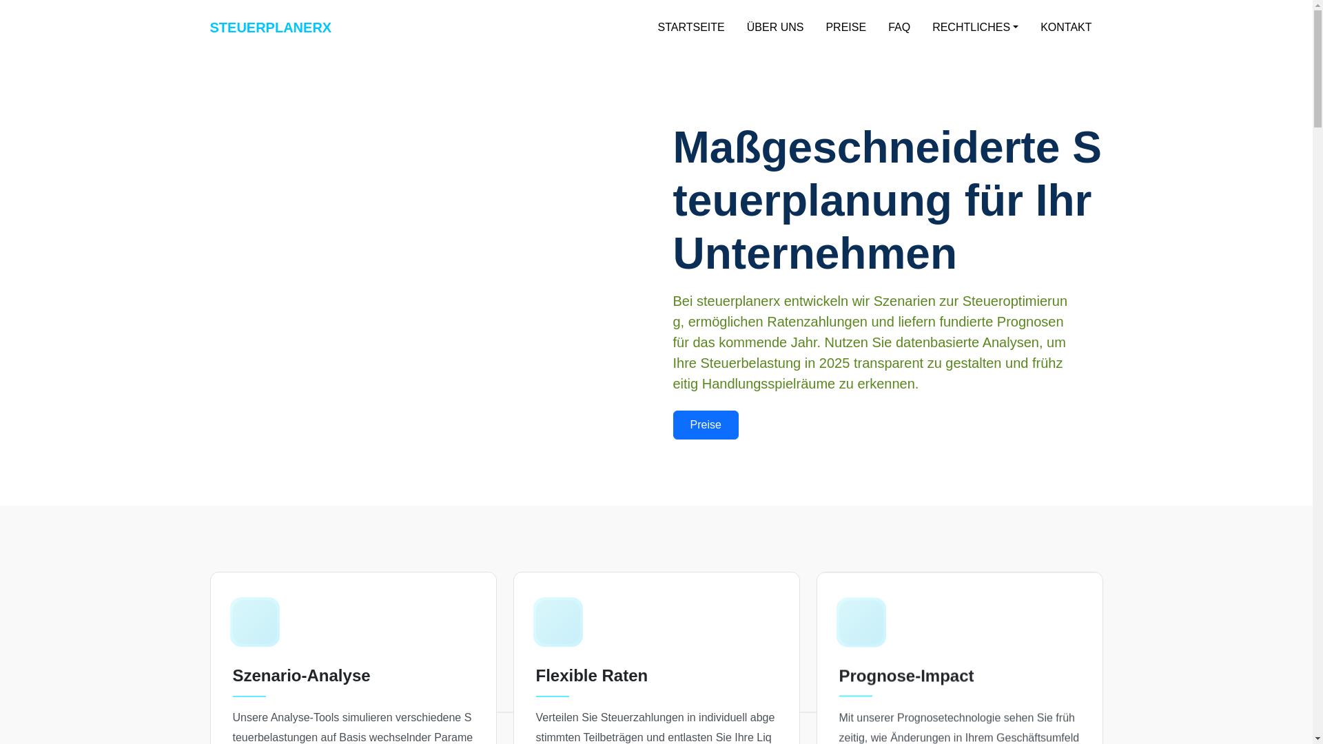 website screenshot of https://steuerplanerx.com/