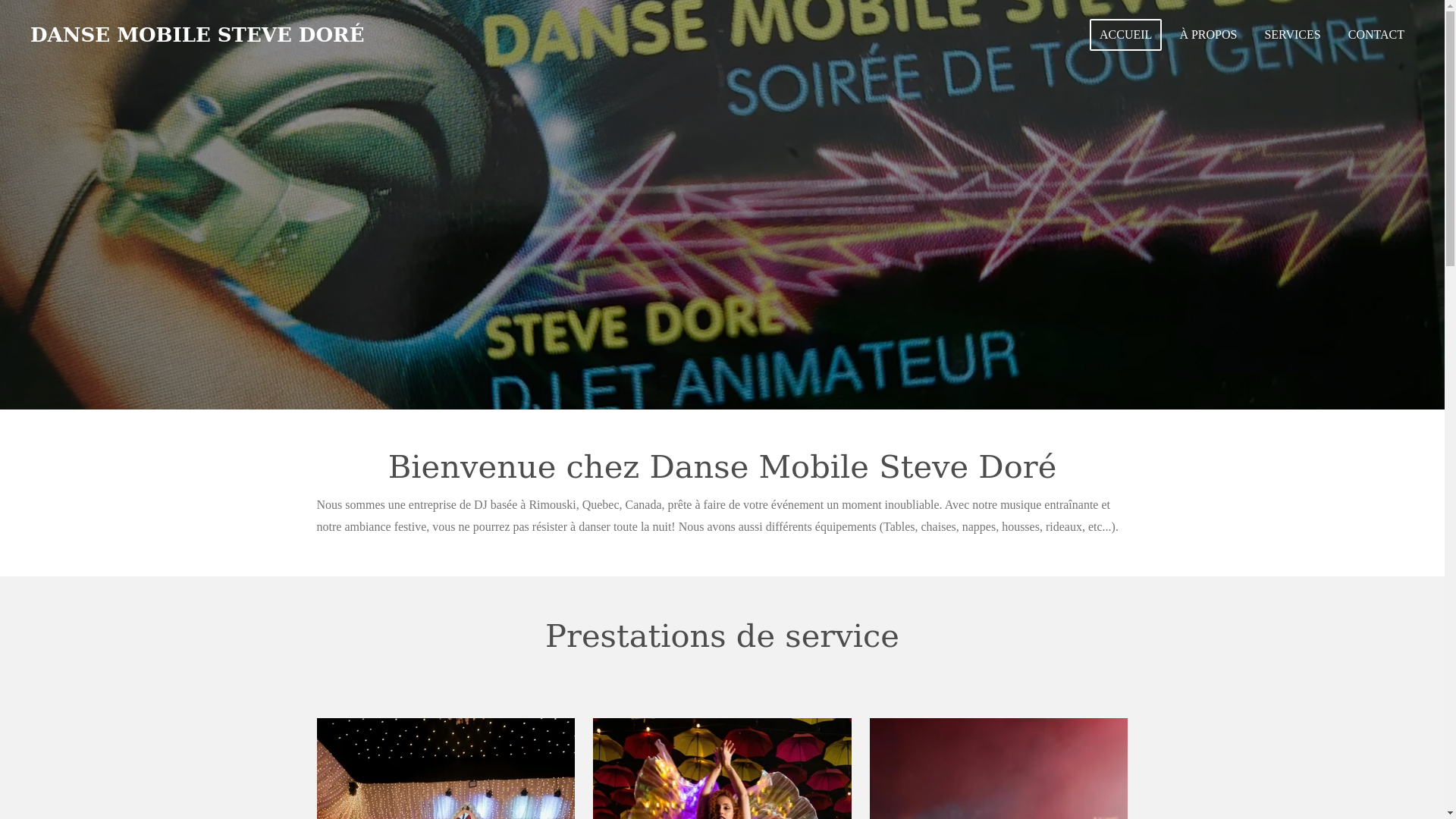 website screenshot of https://dansemobilestevedore.ca/