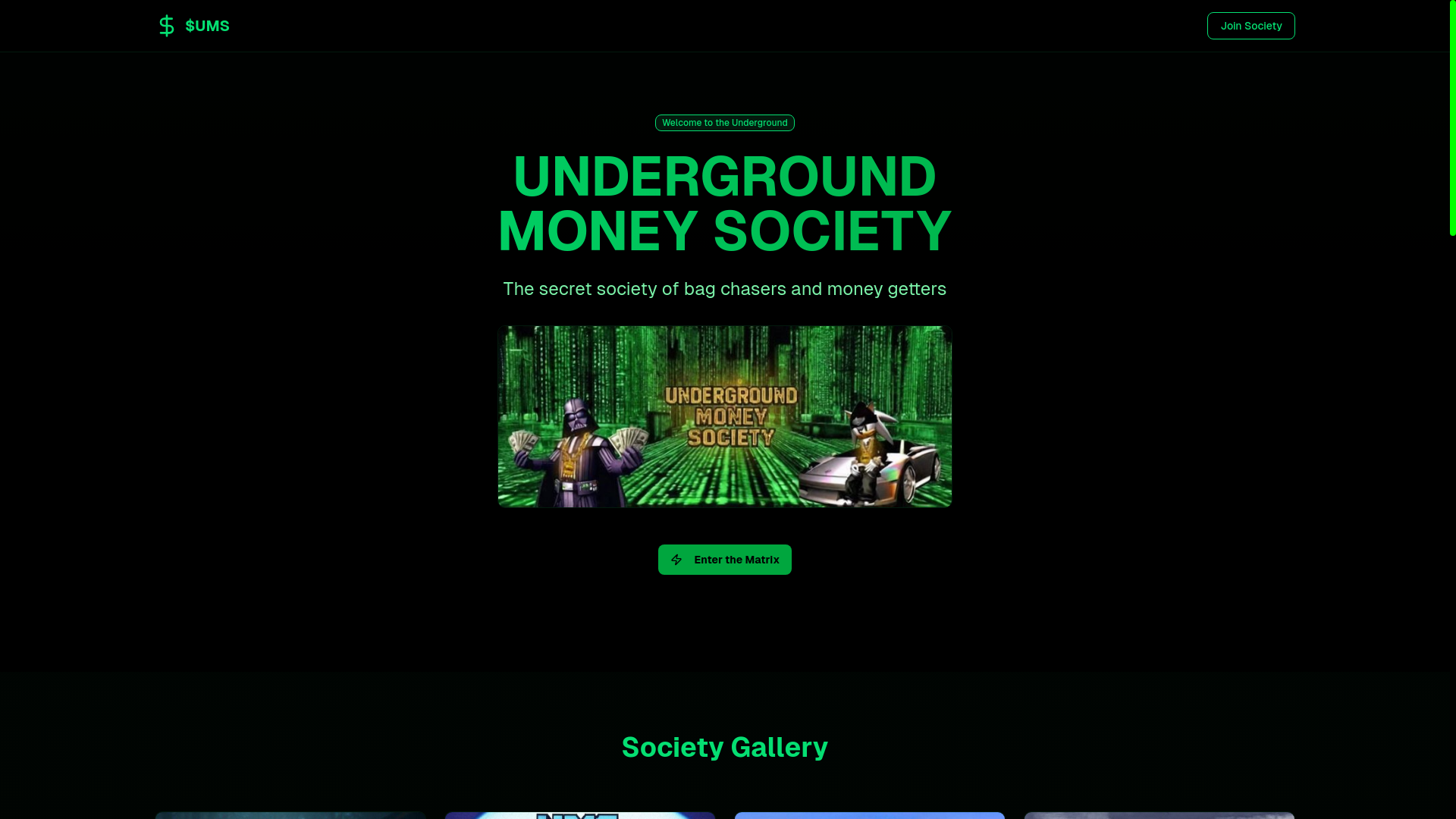 website screenshot of https://umssolana.com/