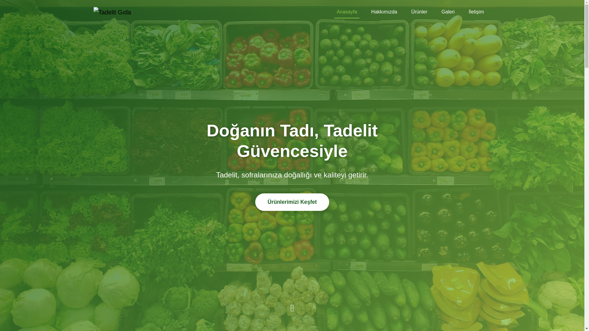 website screenshot of https://tadelit.com/