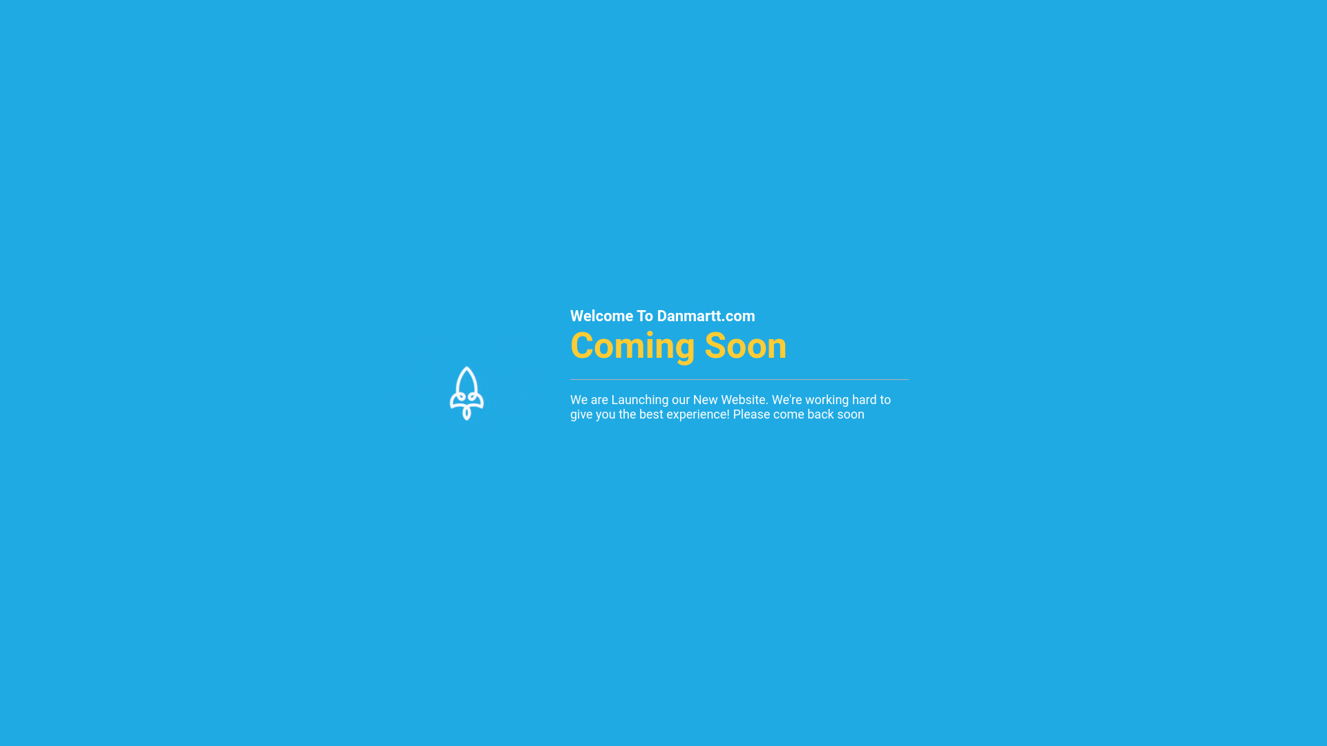 website screenshot of https://danmartt.com/