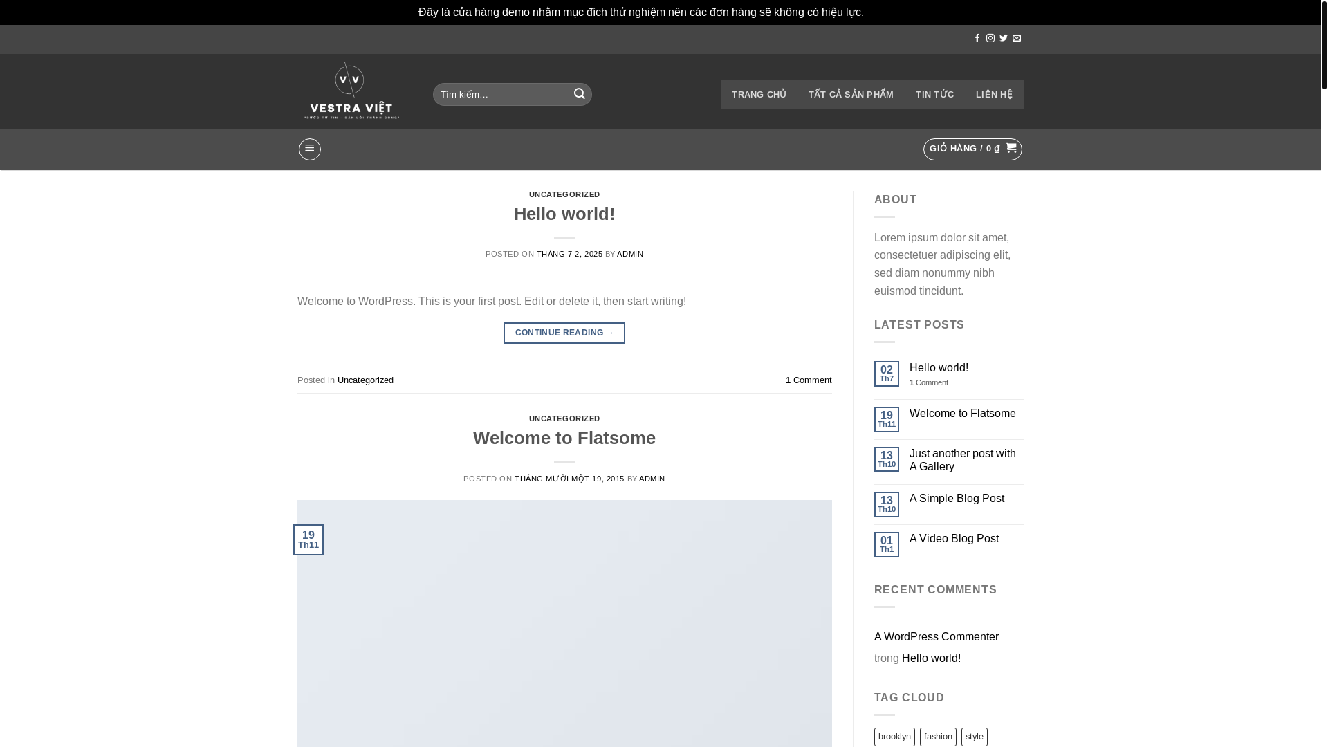 website screenshot of https://vestraviet.com/