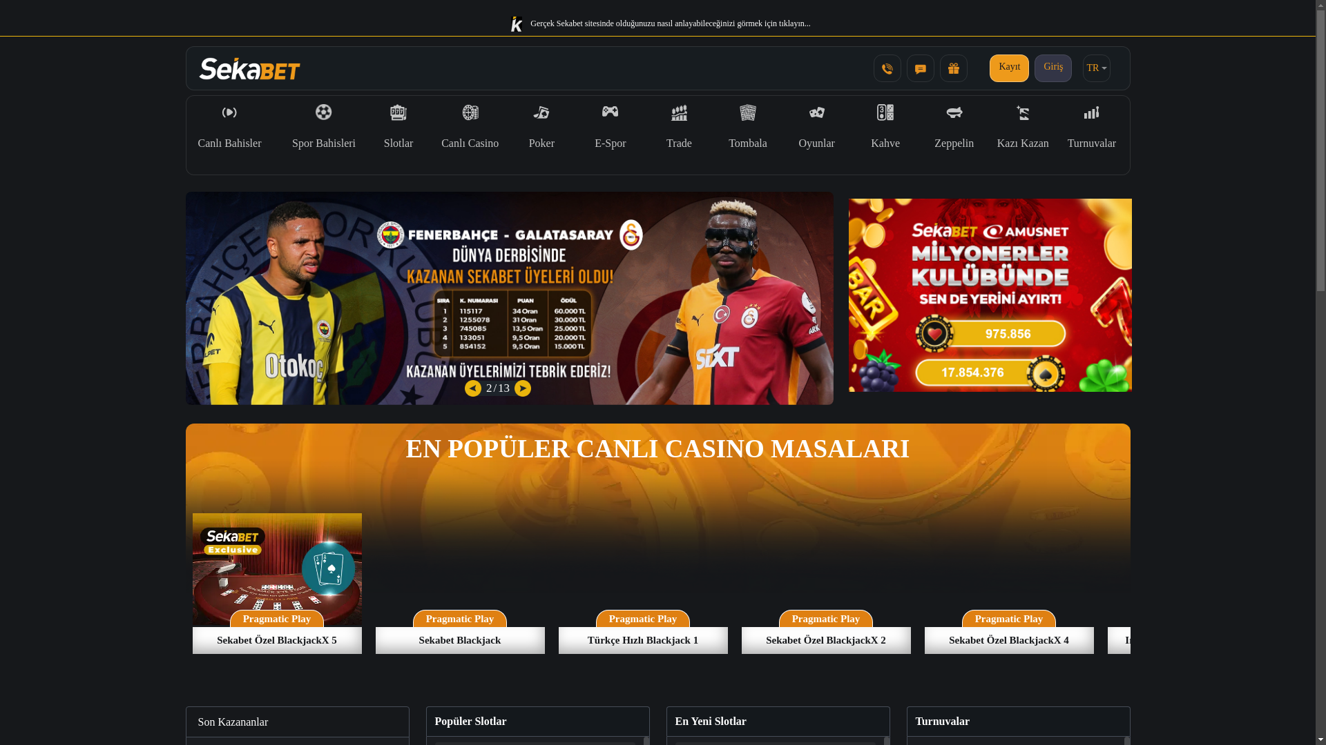 website screenshot of https://sakabet1395.com/