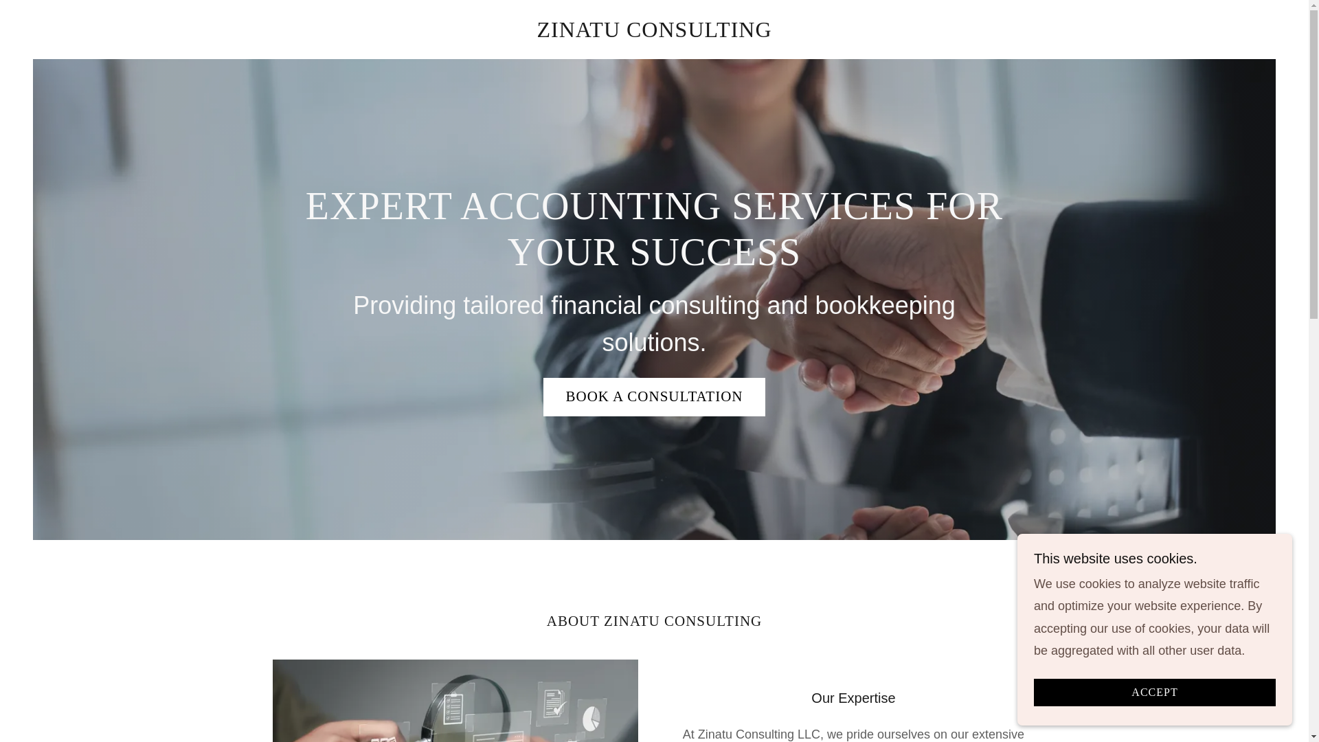 website screenshot of https://zinatuconsulting.com/