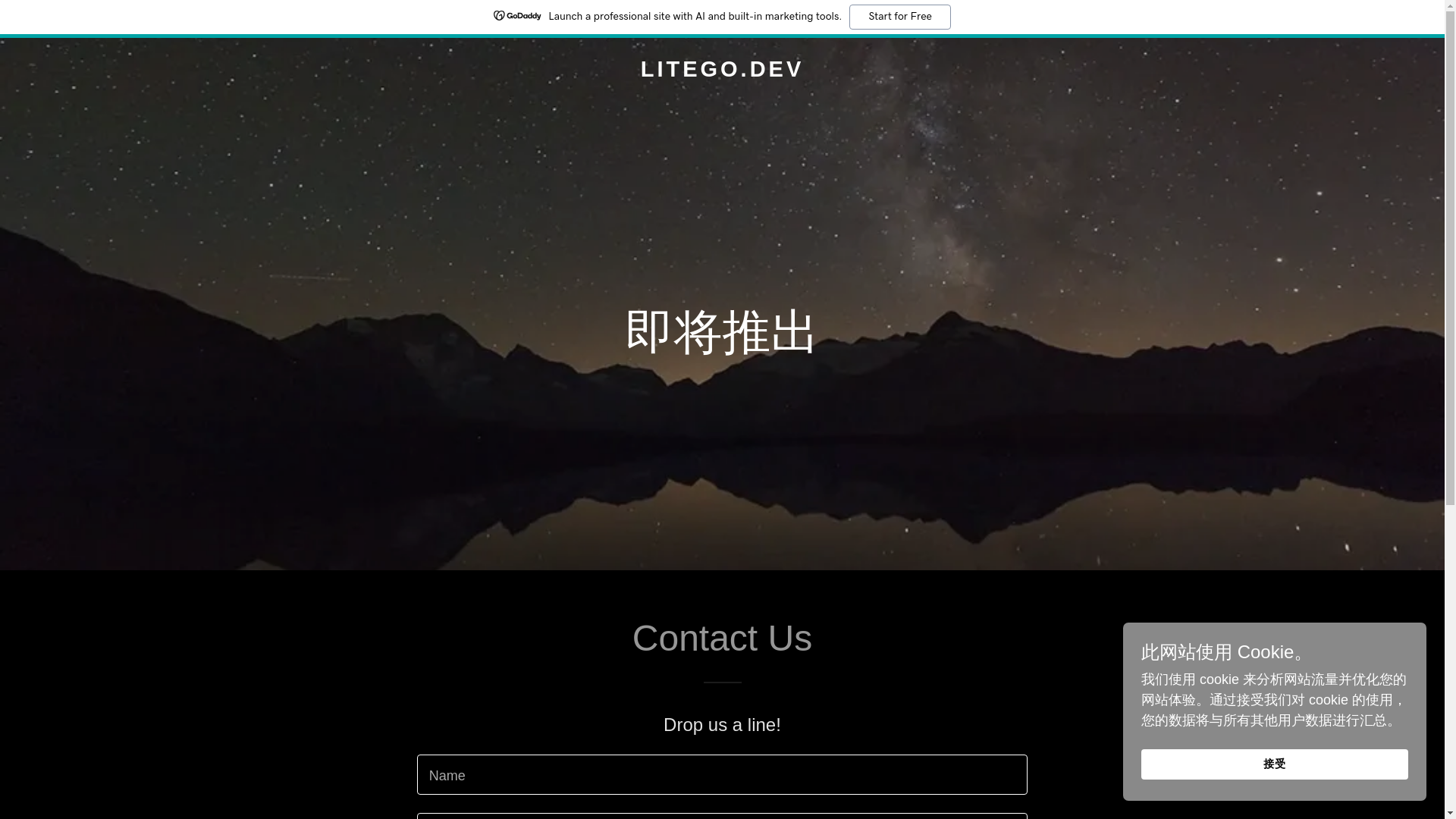 website screenshot of https://litego.dev/