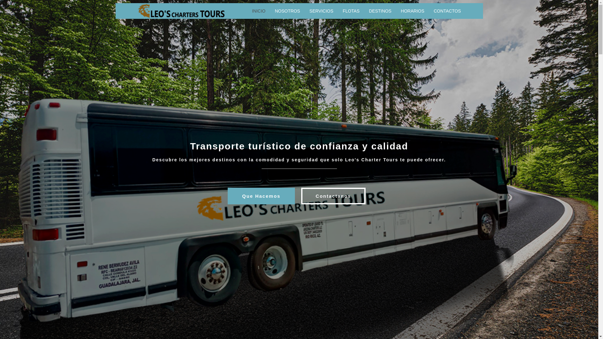 website screenshot of https://leoschartertours.site/