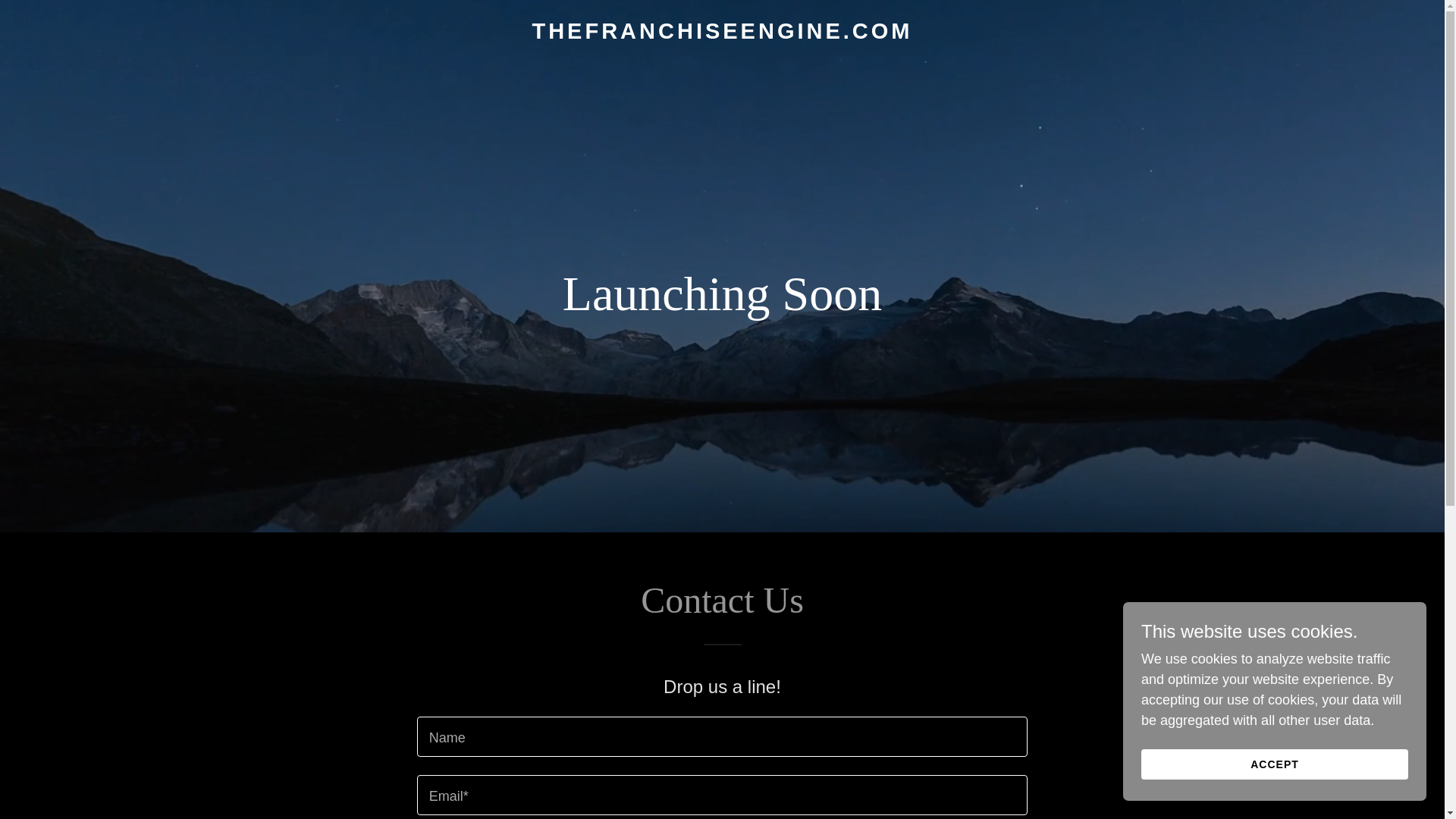 website screenshot of https://thefranchiseengine.com/