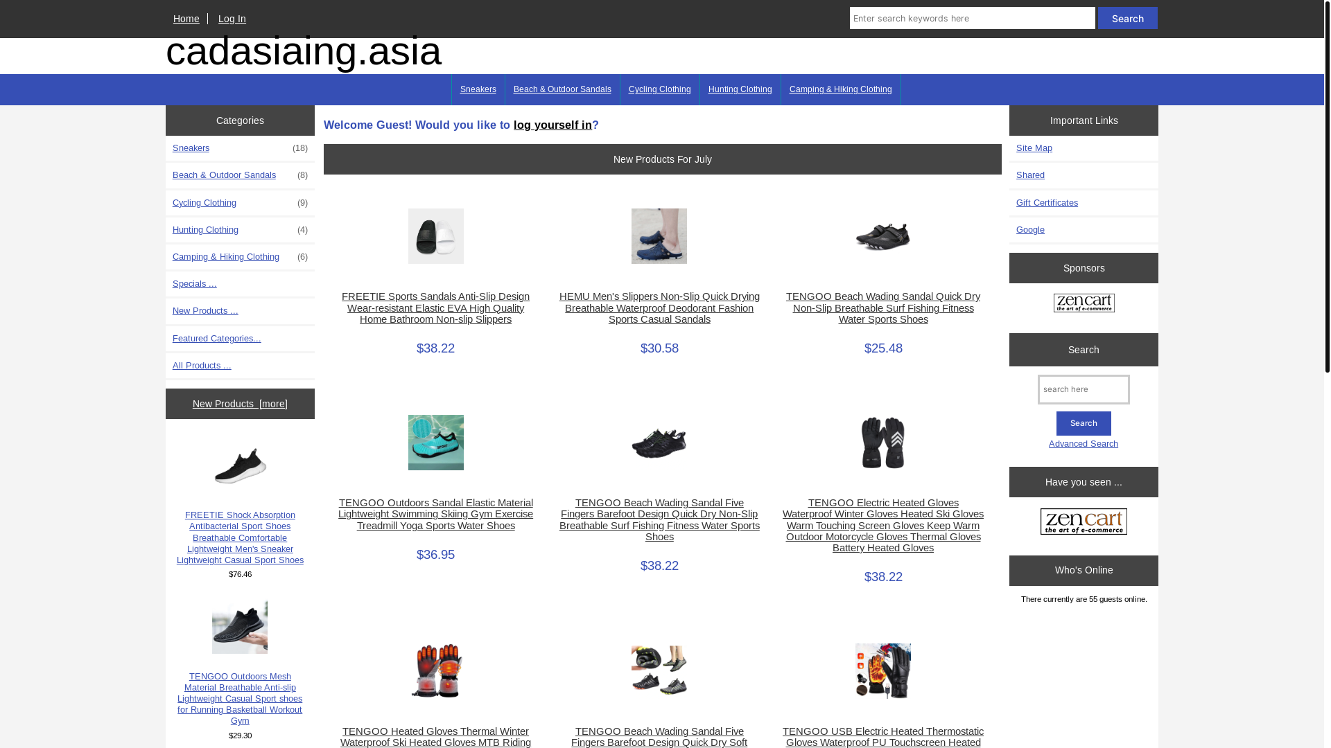 website screenshot of https://cadasiaing.asia/