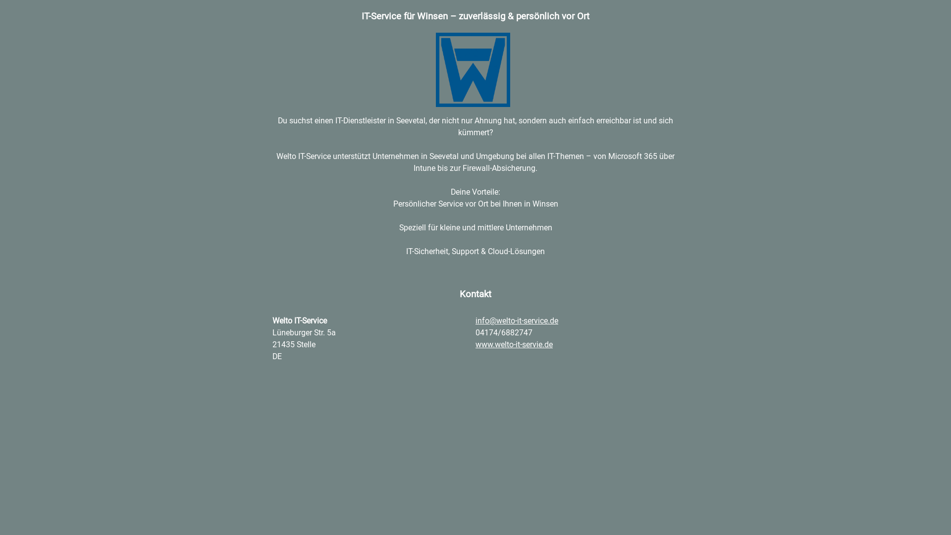 website screenshot of https://it-service-winsen.de/