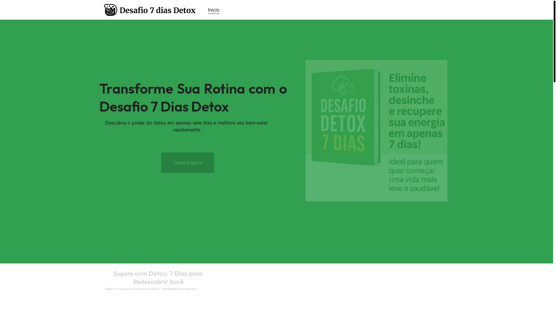 website screenshot of https://ebookdetox7dias.online/