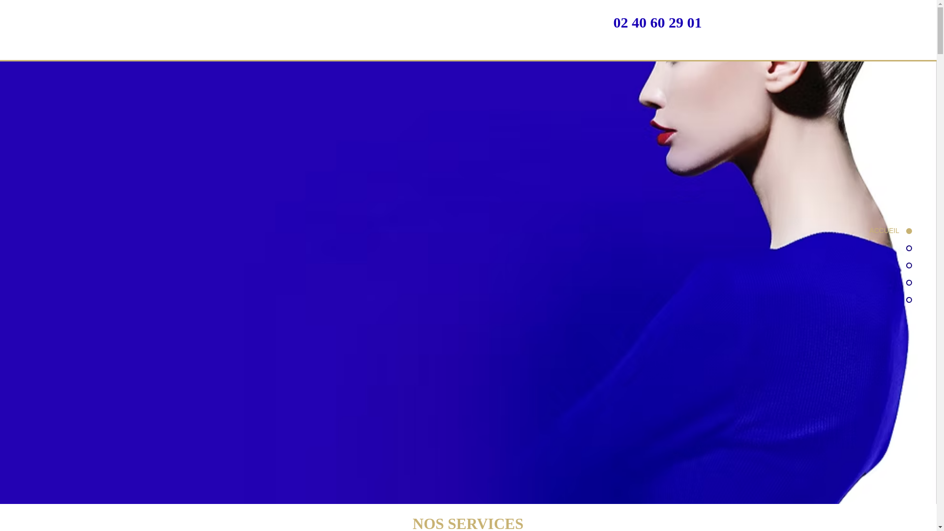 website screenshot of https://salonlaloge.fr/