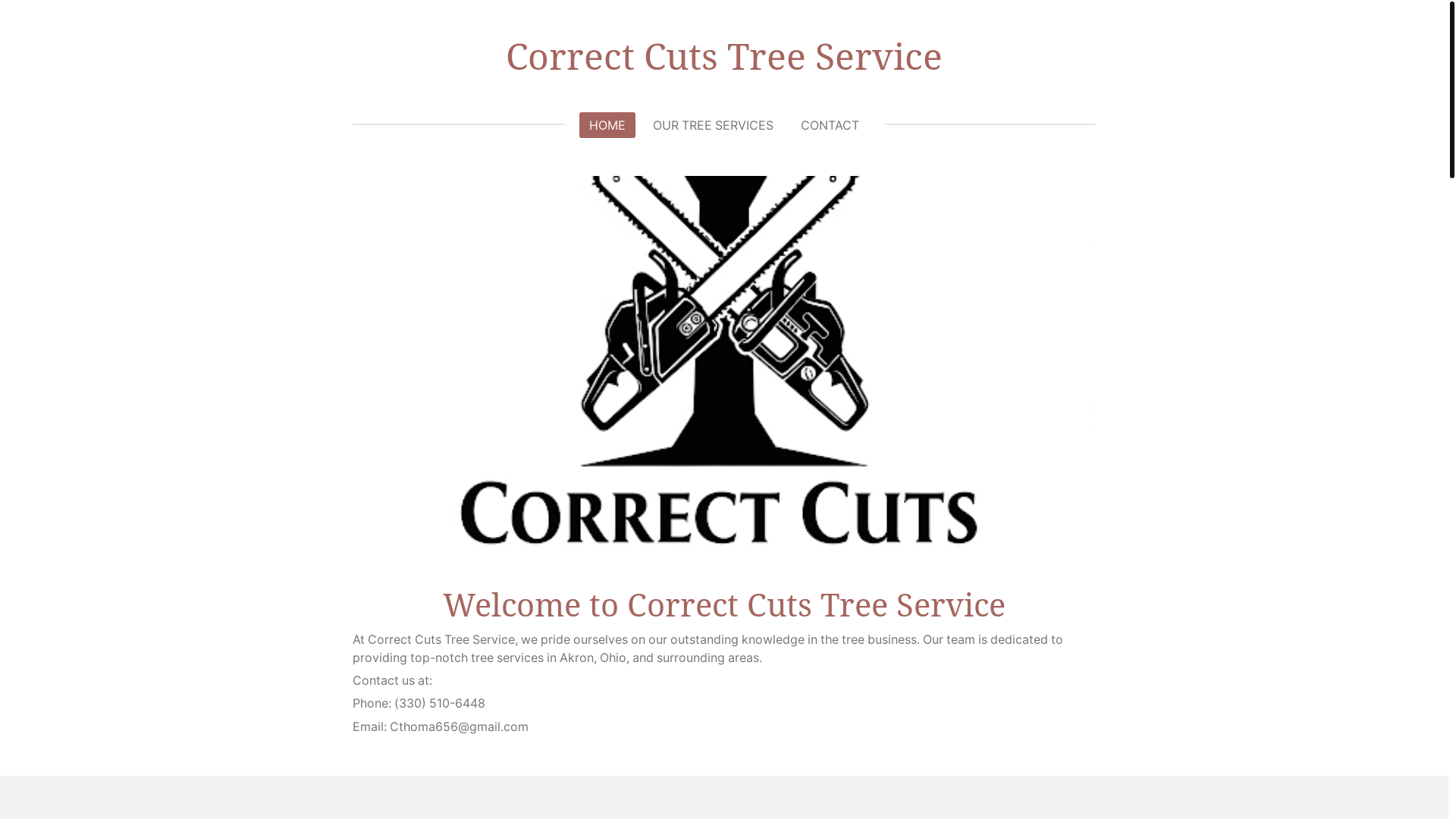 website screenshot of https://correctcutstreeservice.com/