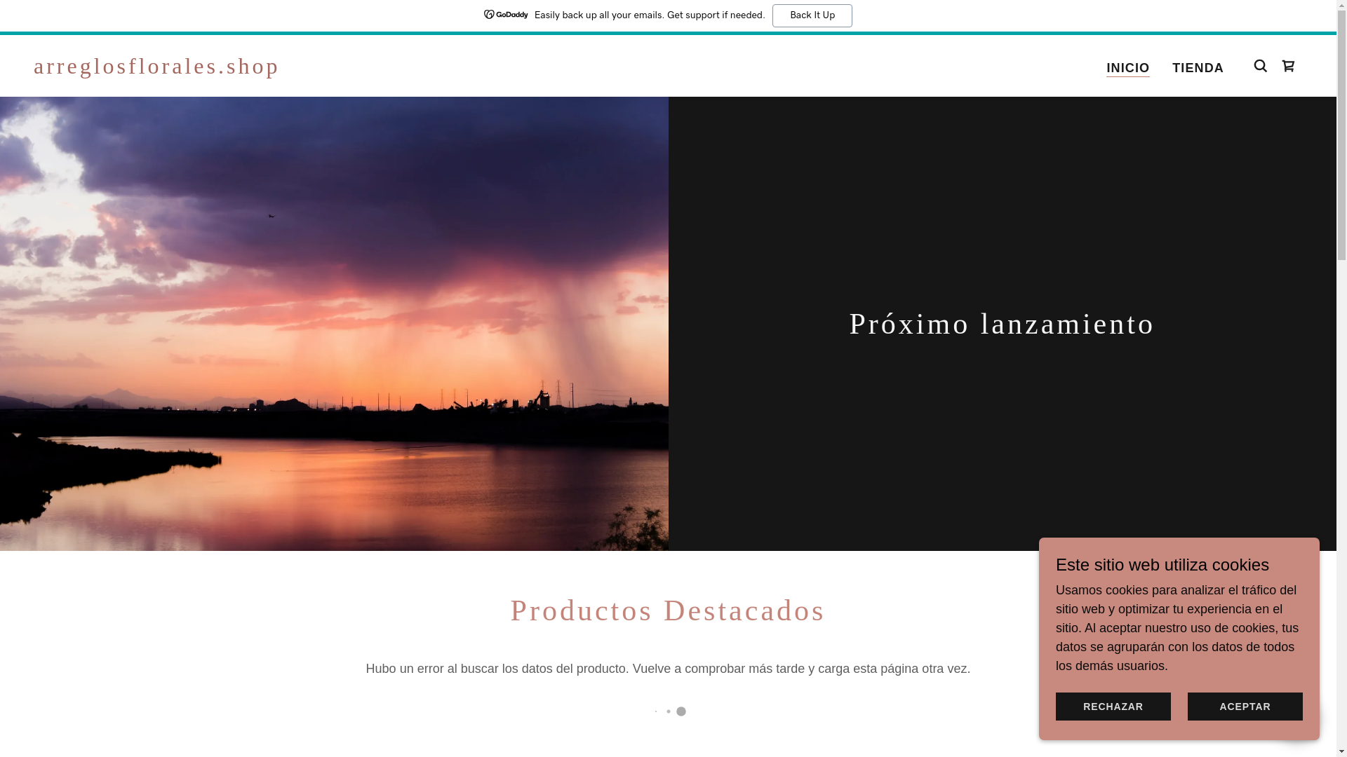 website screenshot of https://arreglosflorales.shop/