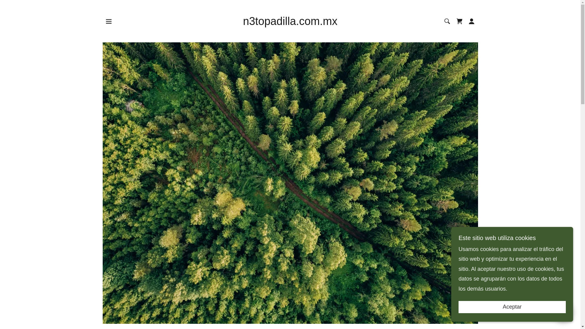 website screenshot of https://n3topadilla.com.mx/