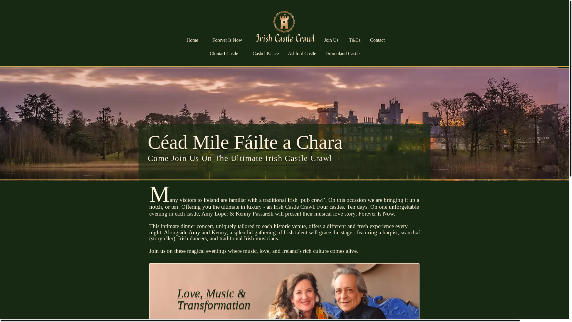 website screenshot of https://irishcastlecrawl.com/