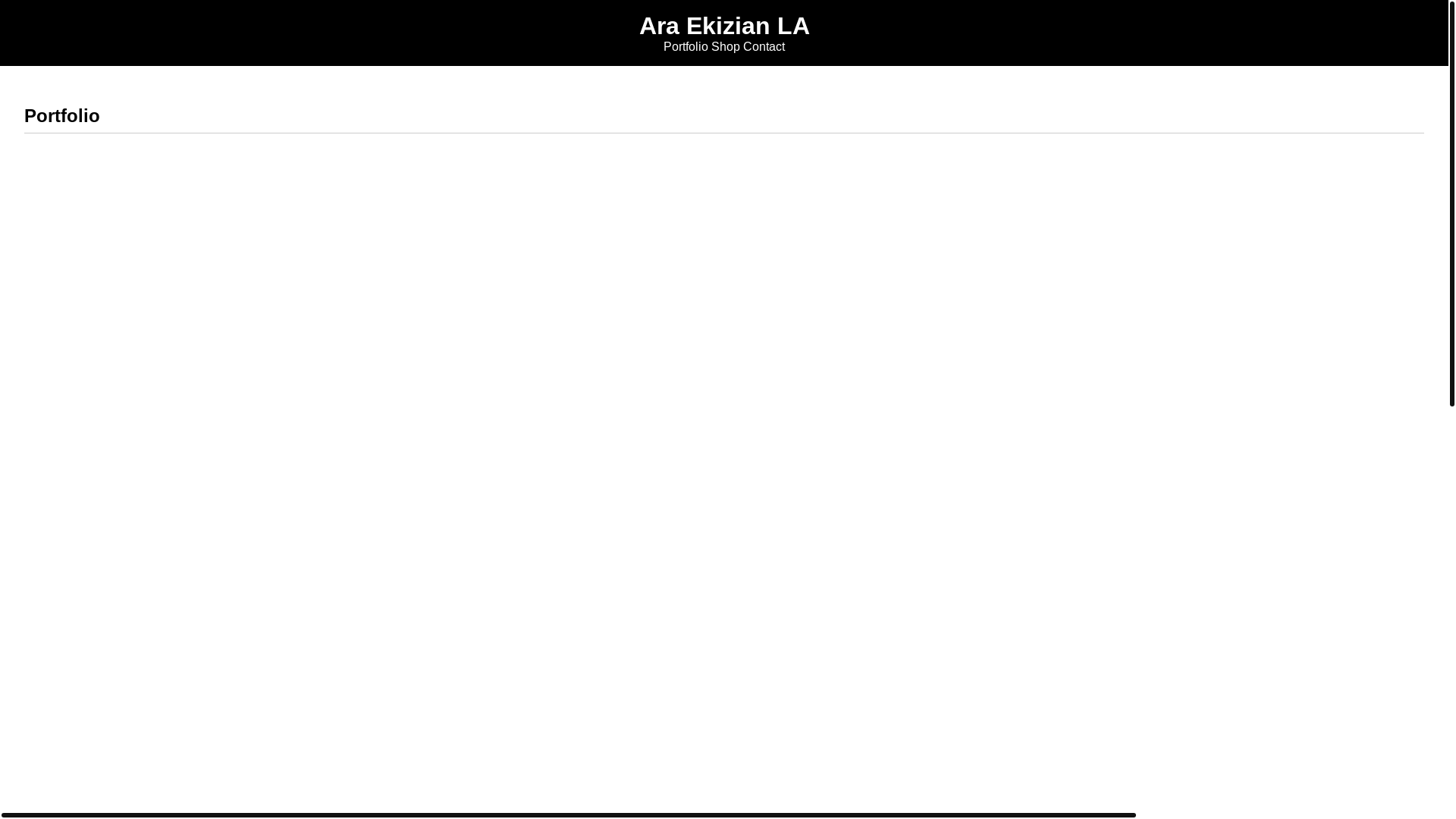 website screenshot of https://araekizian.com/