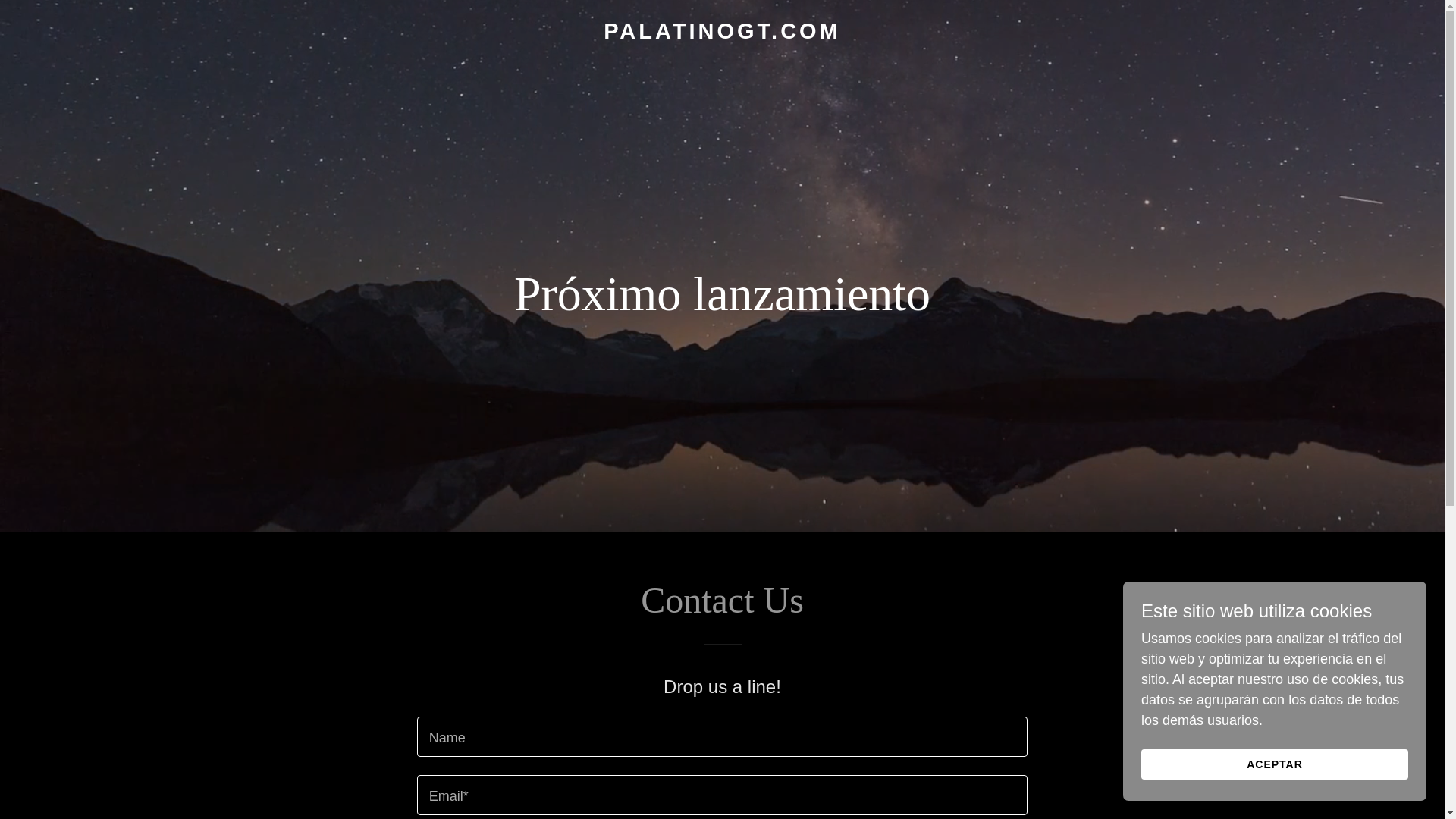 website screenshot of https://palatinogt.com/