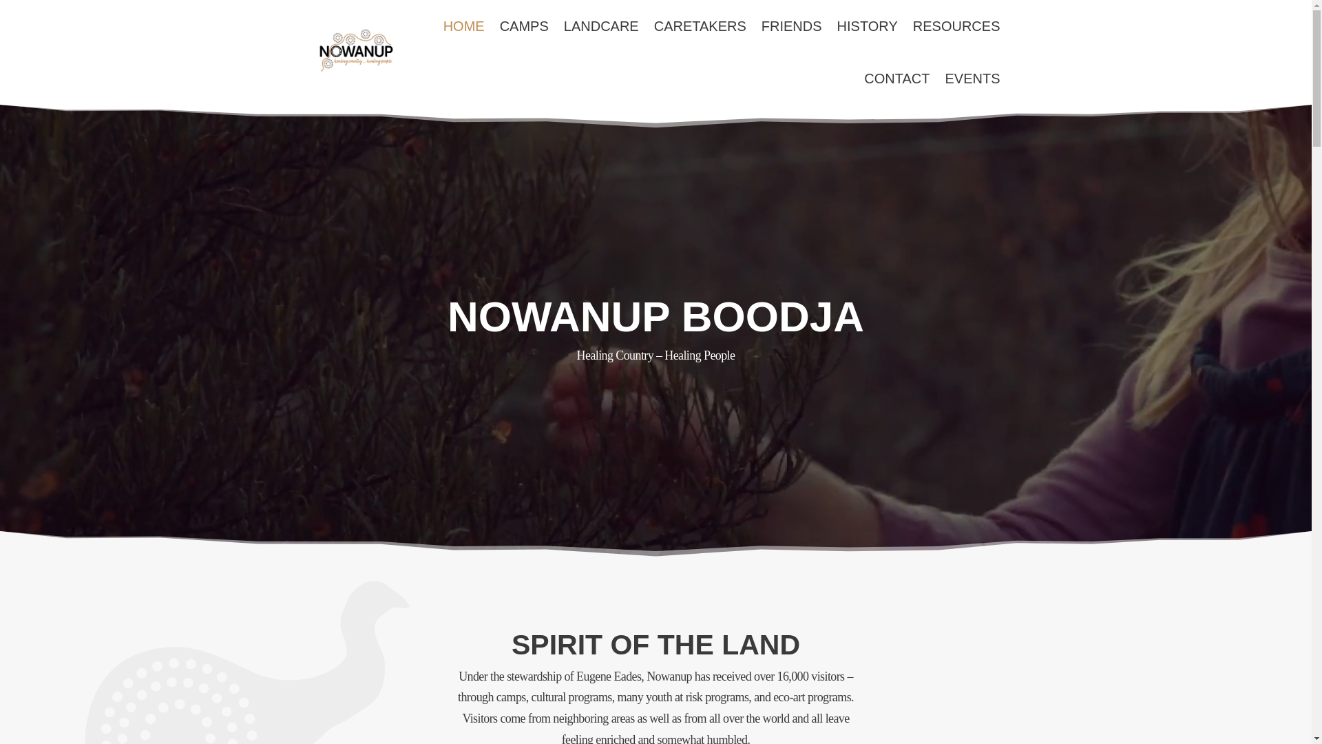 website screenshot of https://nowanup.online/