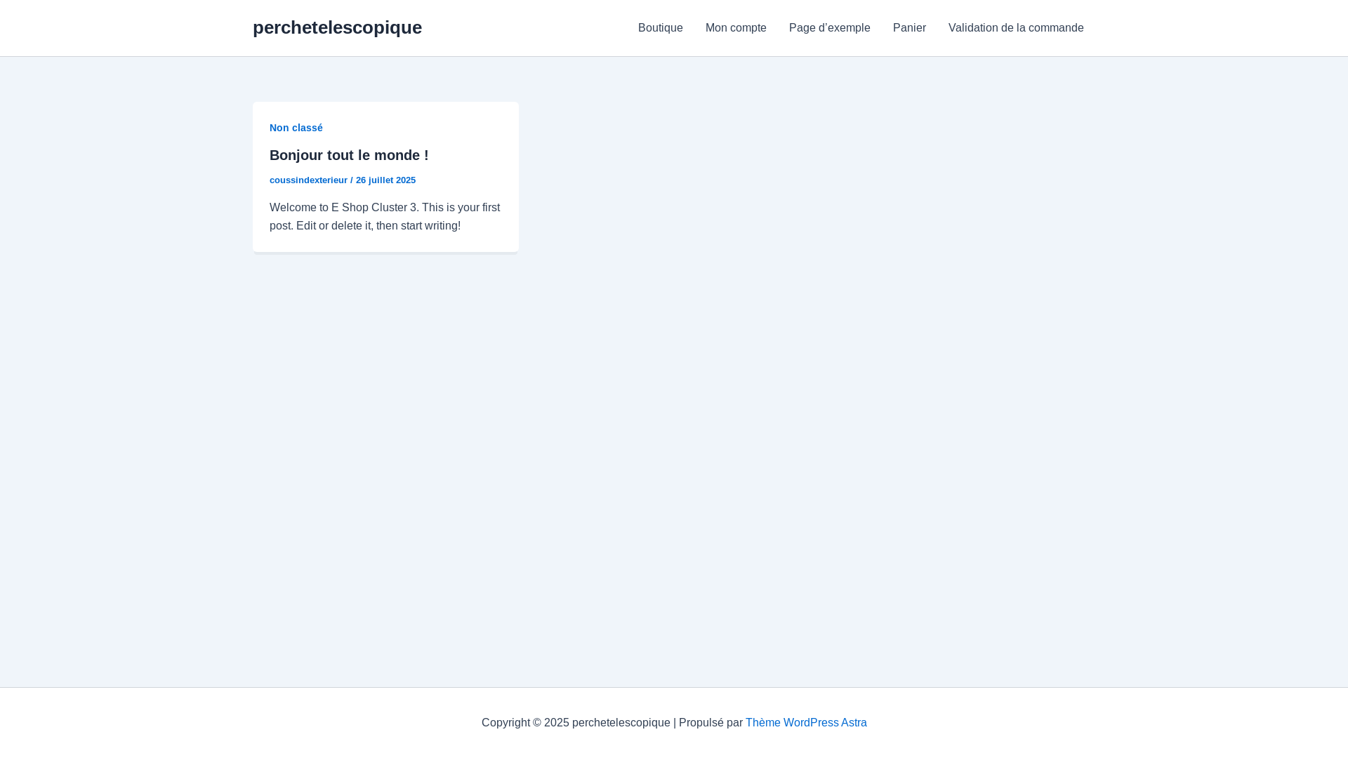 website screenshot of https://perchetelescopique.fr/