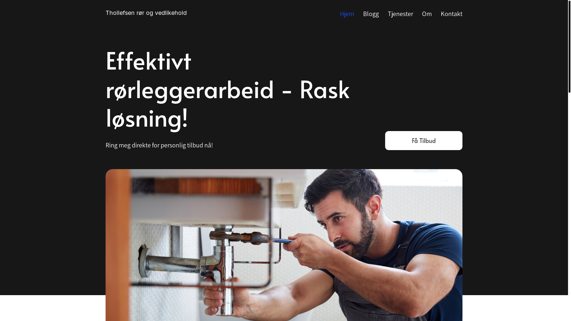 website screenshot of https://htvvs.no/