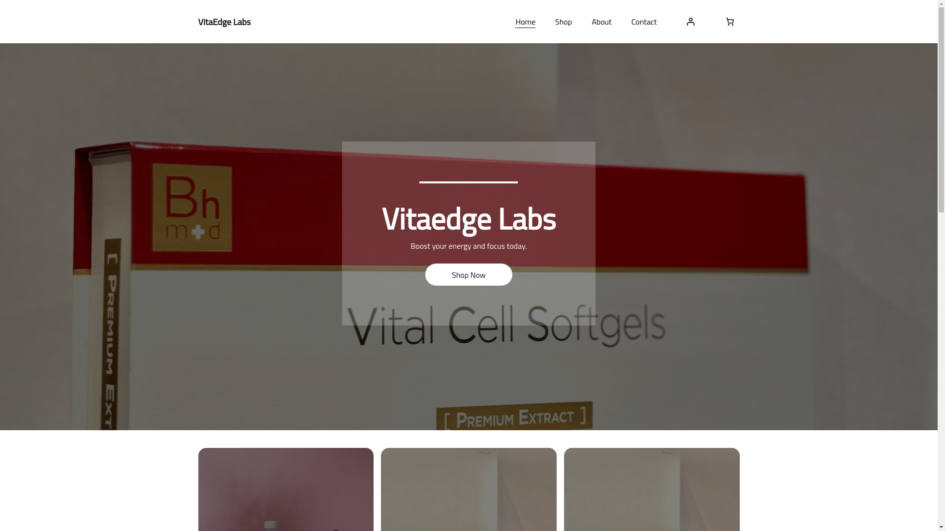 website screenshot of https://vitaledgelabs.me/