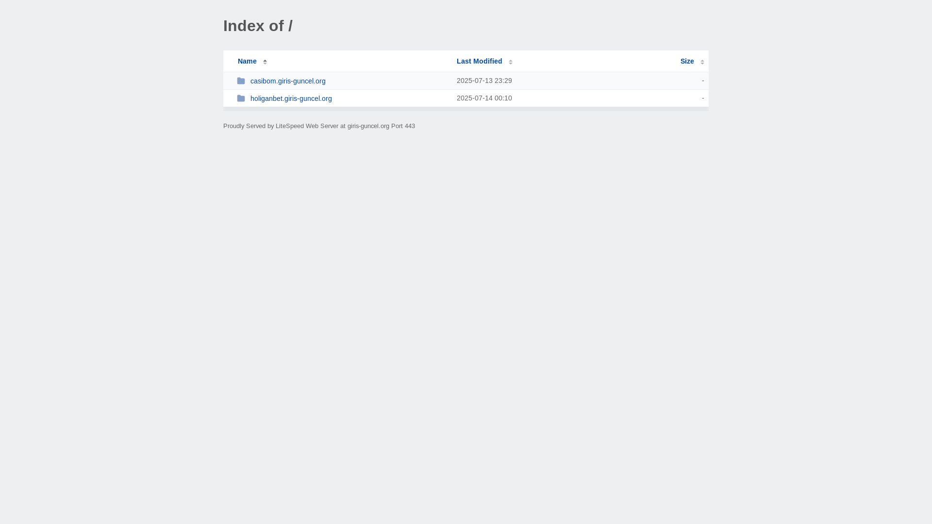 website screenshot of https://giris-guncel.org/