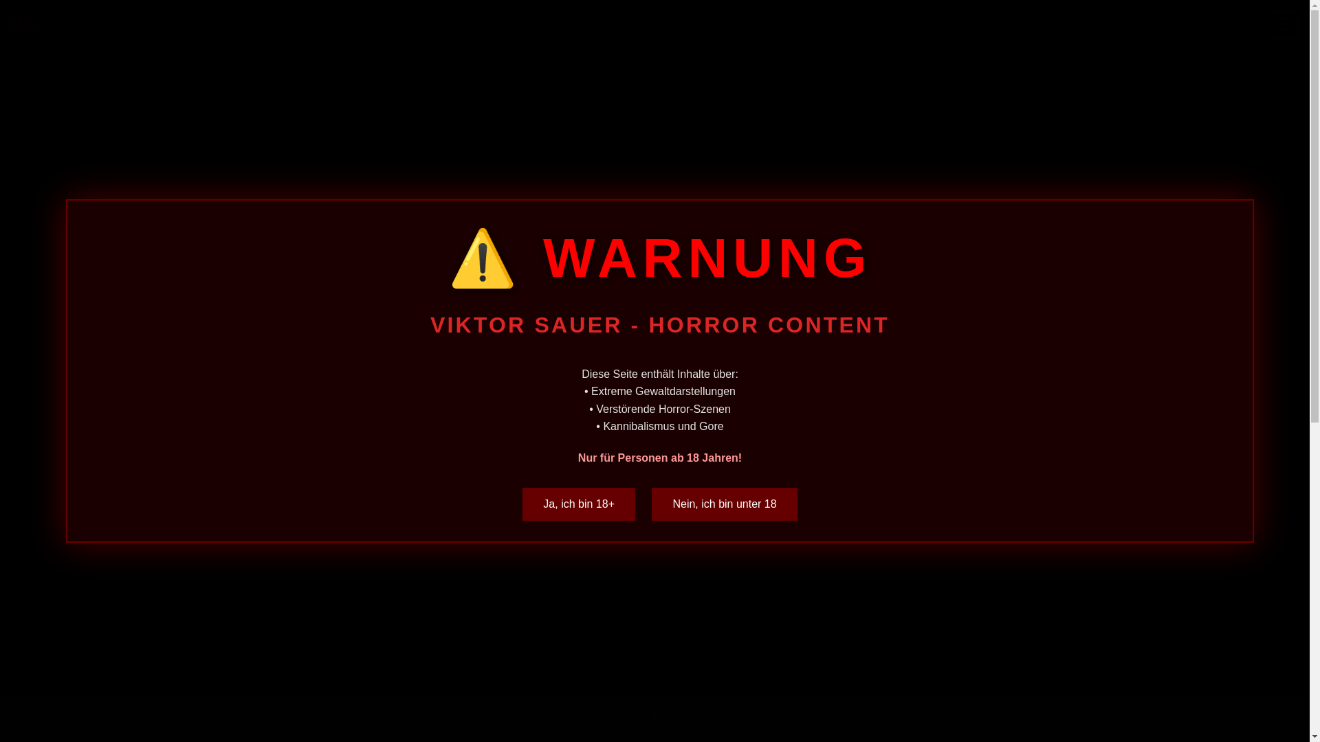 website screenshot of https://viktorsauer-website.pages.dev/